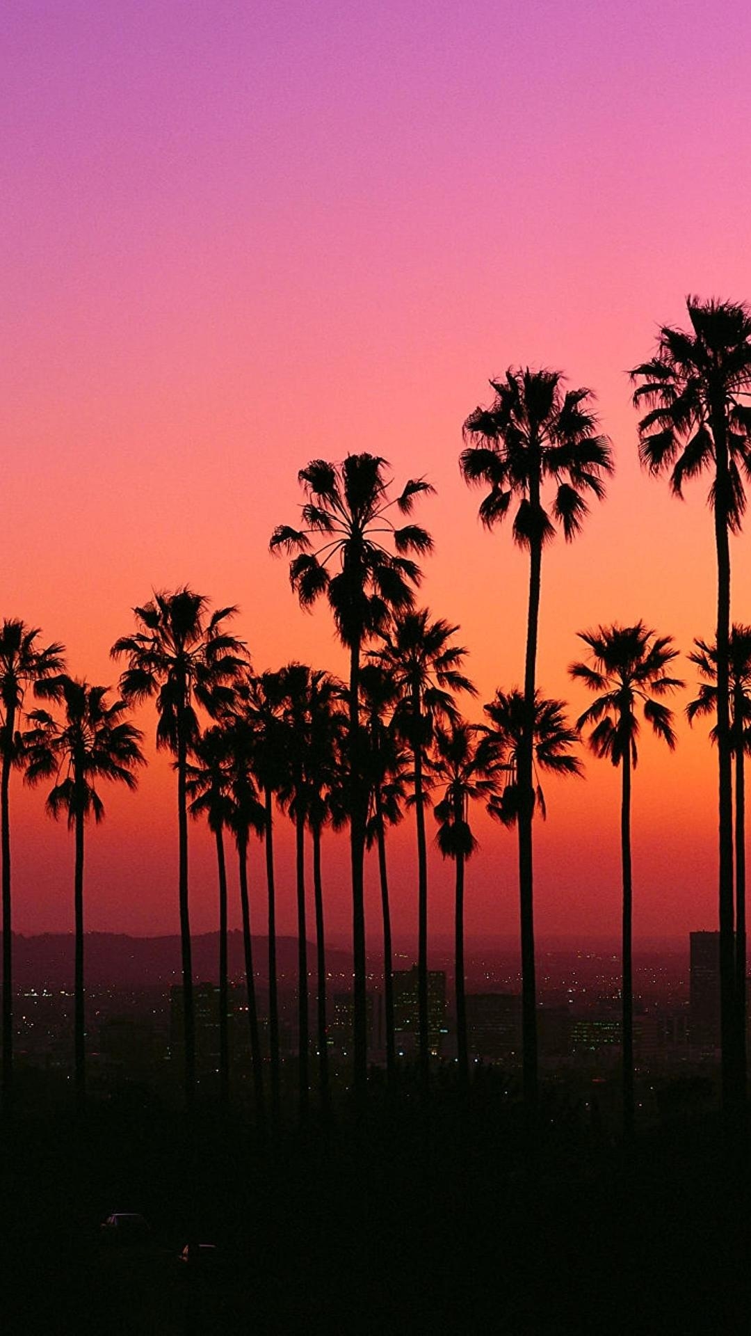 1080x1920 Los Angeles sunset with palm trees.reddit.com, Phone