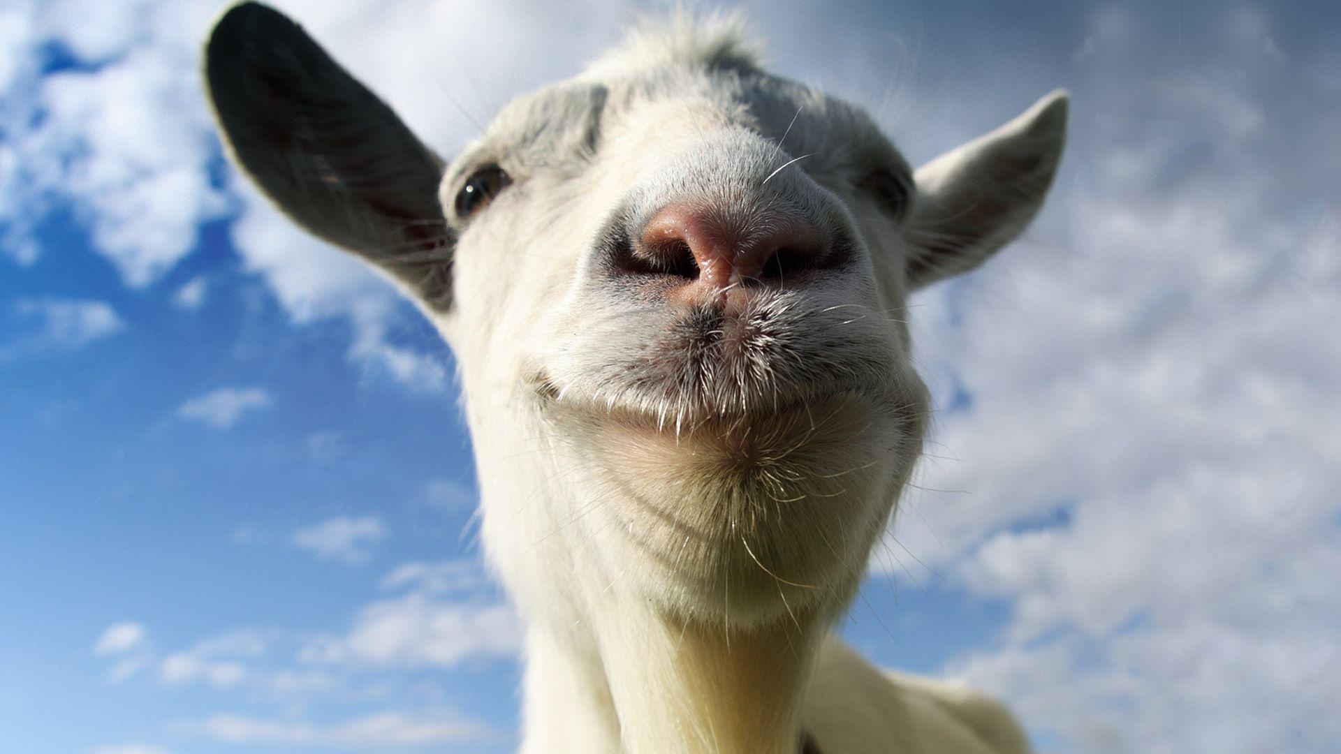 1920x1080 Goat Simulator now available on Microsoft Store for play, Desktop