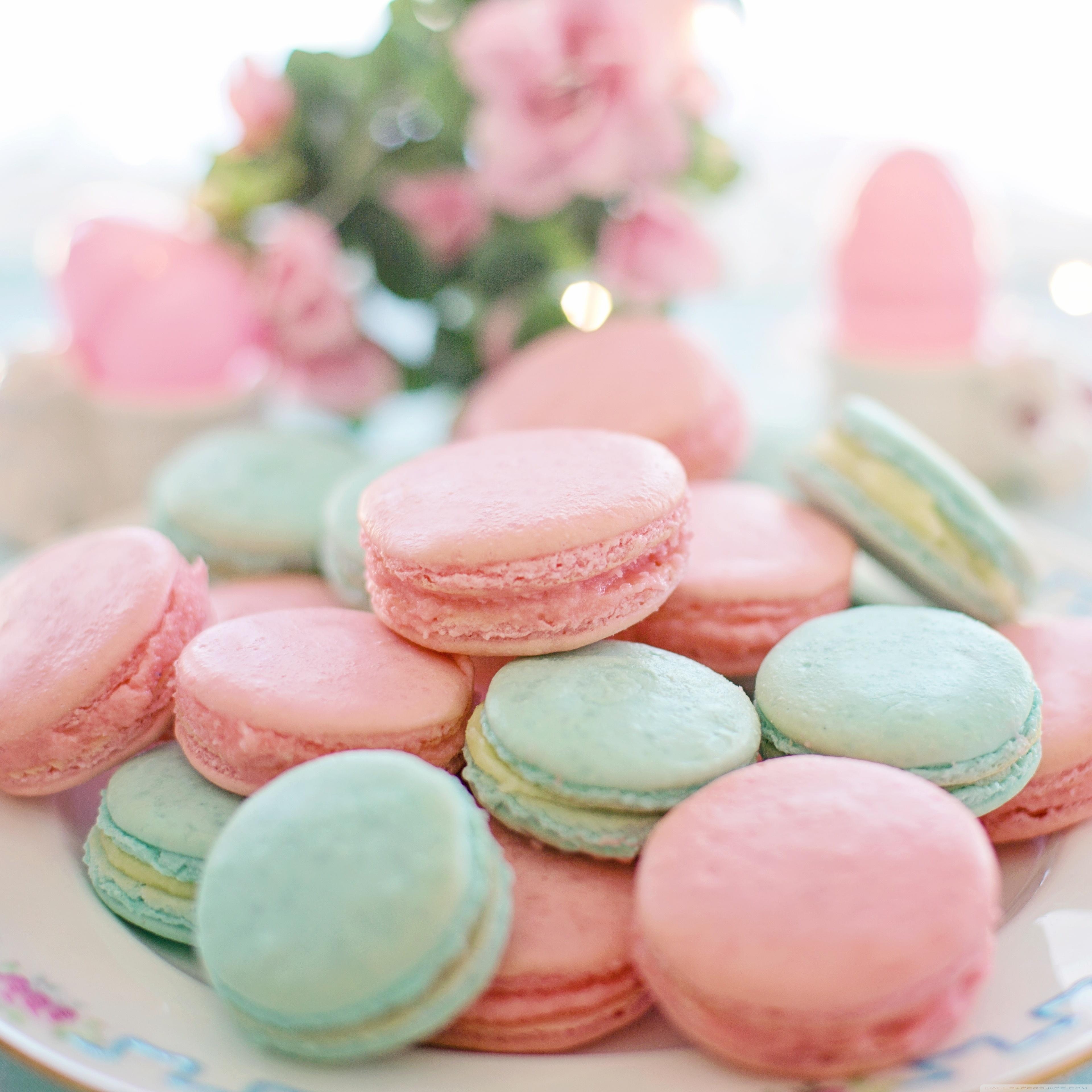 3840x3840 Pastel Macarons Aesthetic Ultra HD Desktop Background Wallpaper, Phone