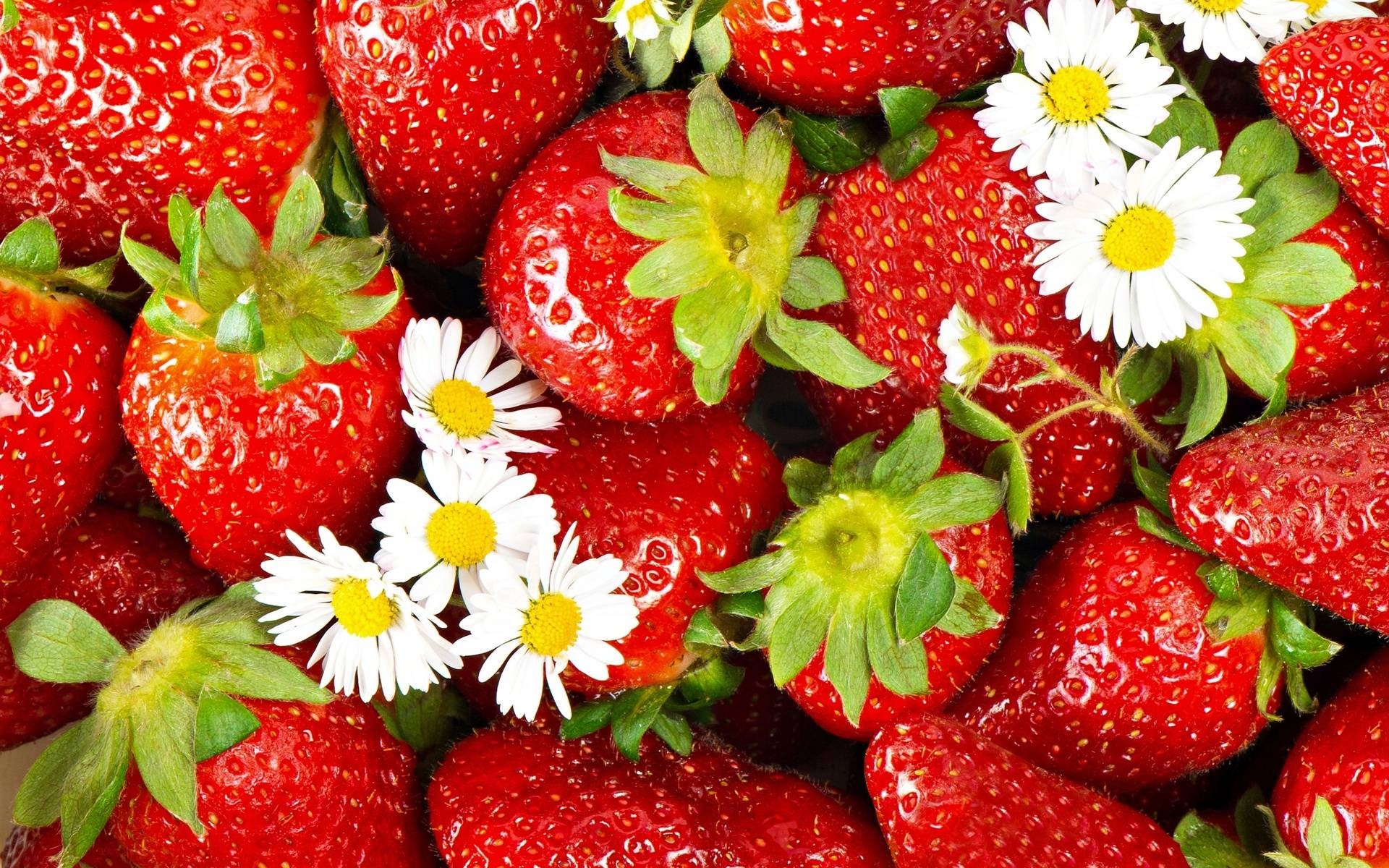 1920x1200 Strawberry Wallpaper, Desktop