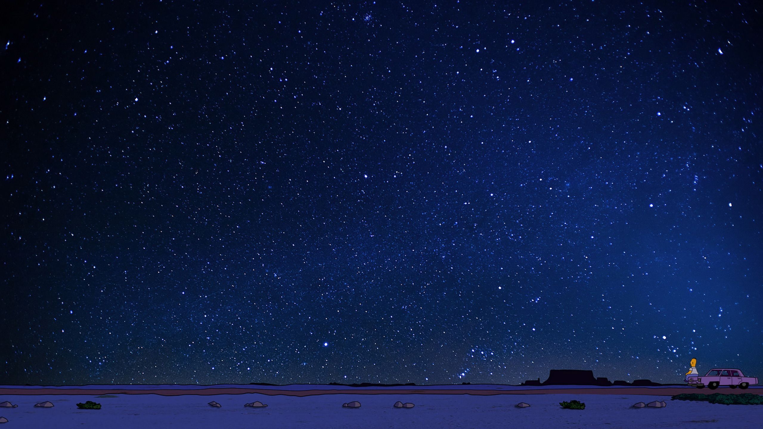 2560x1440 Homer Looking At The Stars 1440P Resolution Wallpaper, Desktop