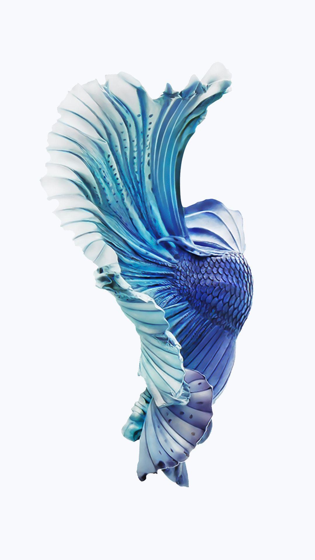 1080x1930 IPhone 6S Fish Wallpaper, Phone