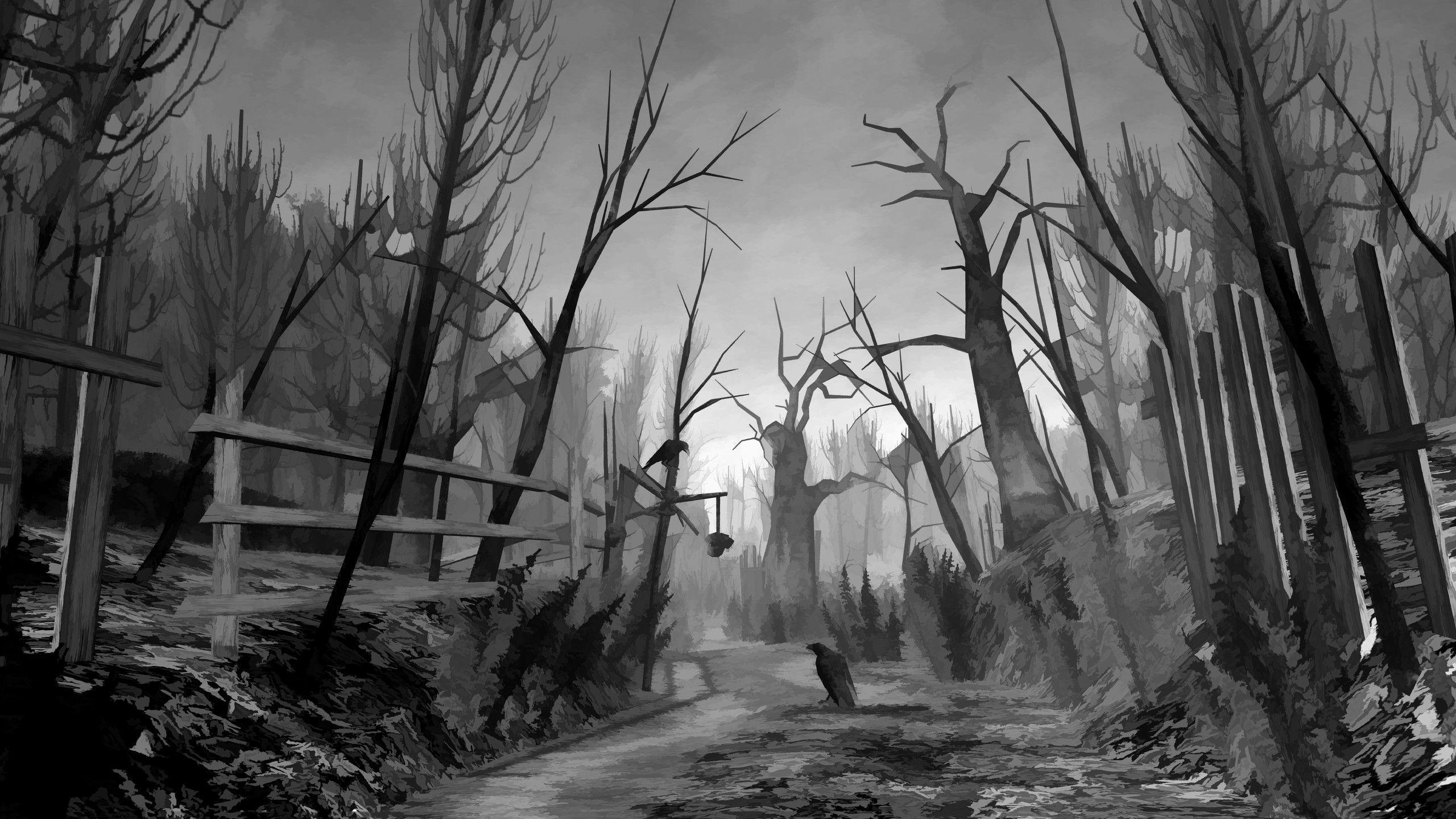 2560x1440 Creepy Forest Wallpaper, Desktop