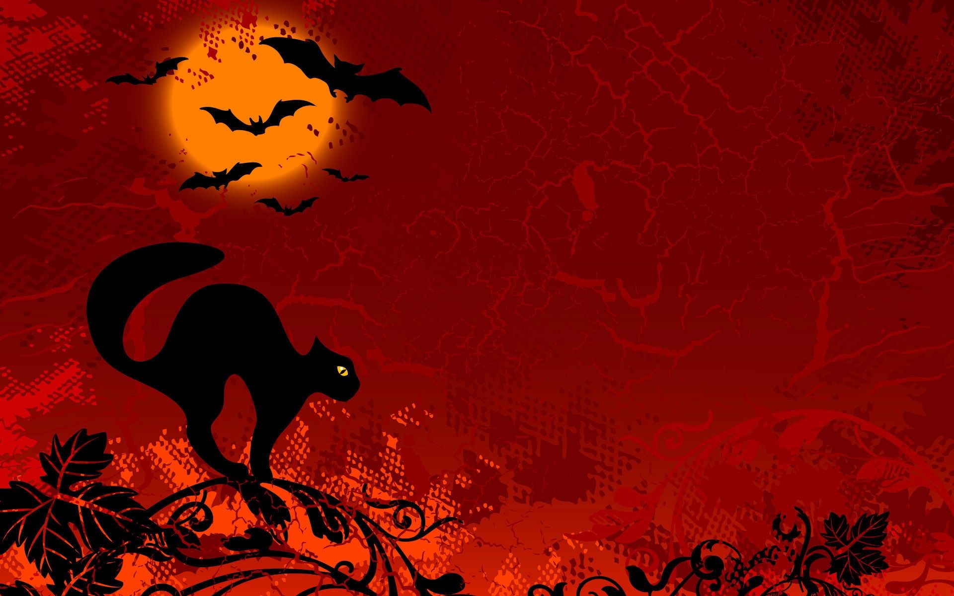 1920x1200 halloween wallpaper cat red Desktop Wallpaperk HD, Desktop