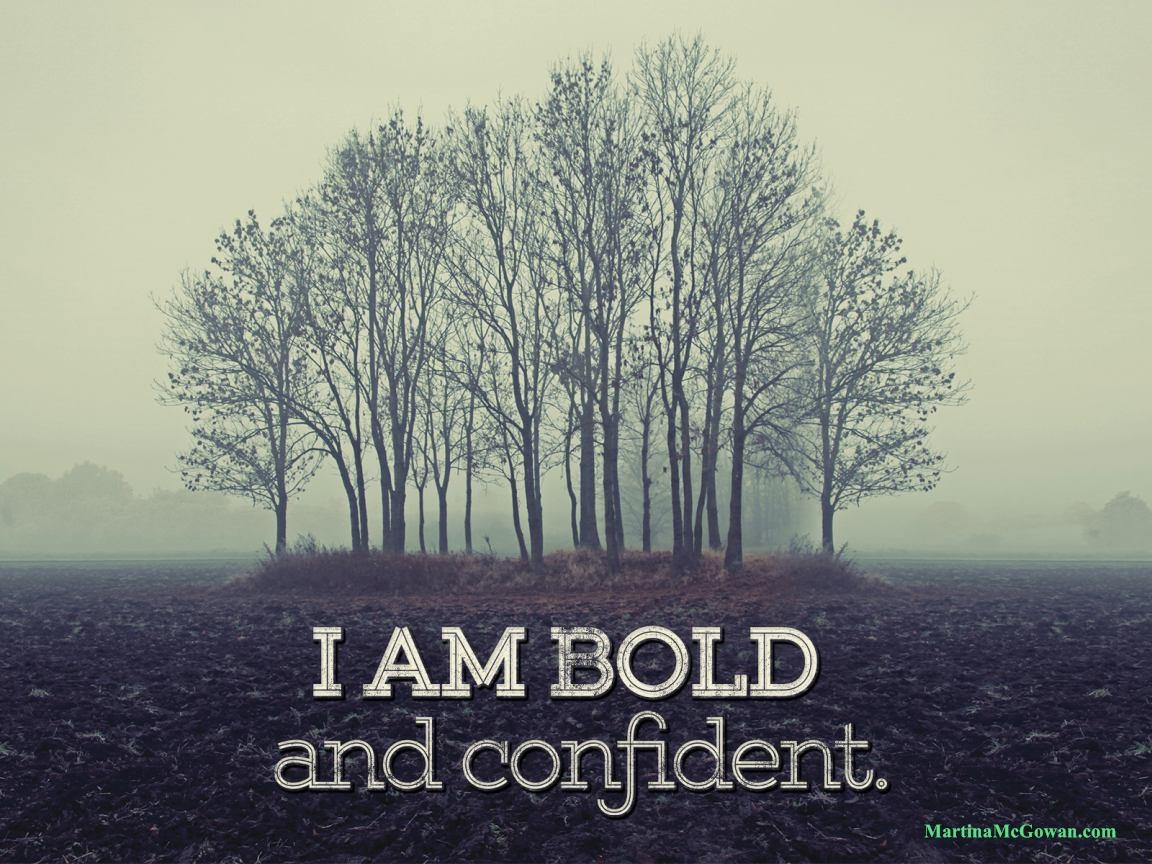 1160x870 Bold And Confident Confidence Nature Wallpaper & Background Download, Desktop