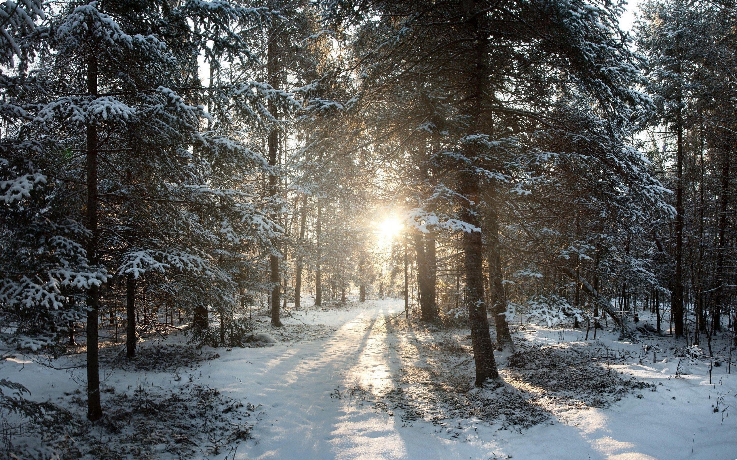 2560x1600 Wisconsin Winter Wallpaper, Desktop