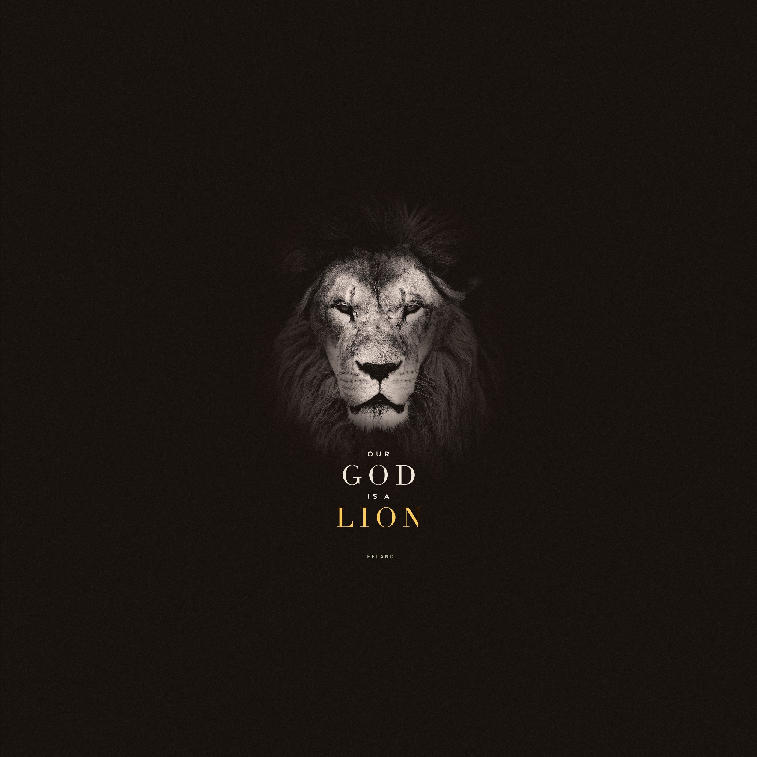 2530x2530 Jesus Lion Wallpaper Free Jesus Lion Background, Phone