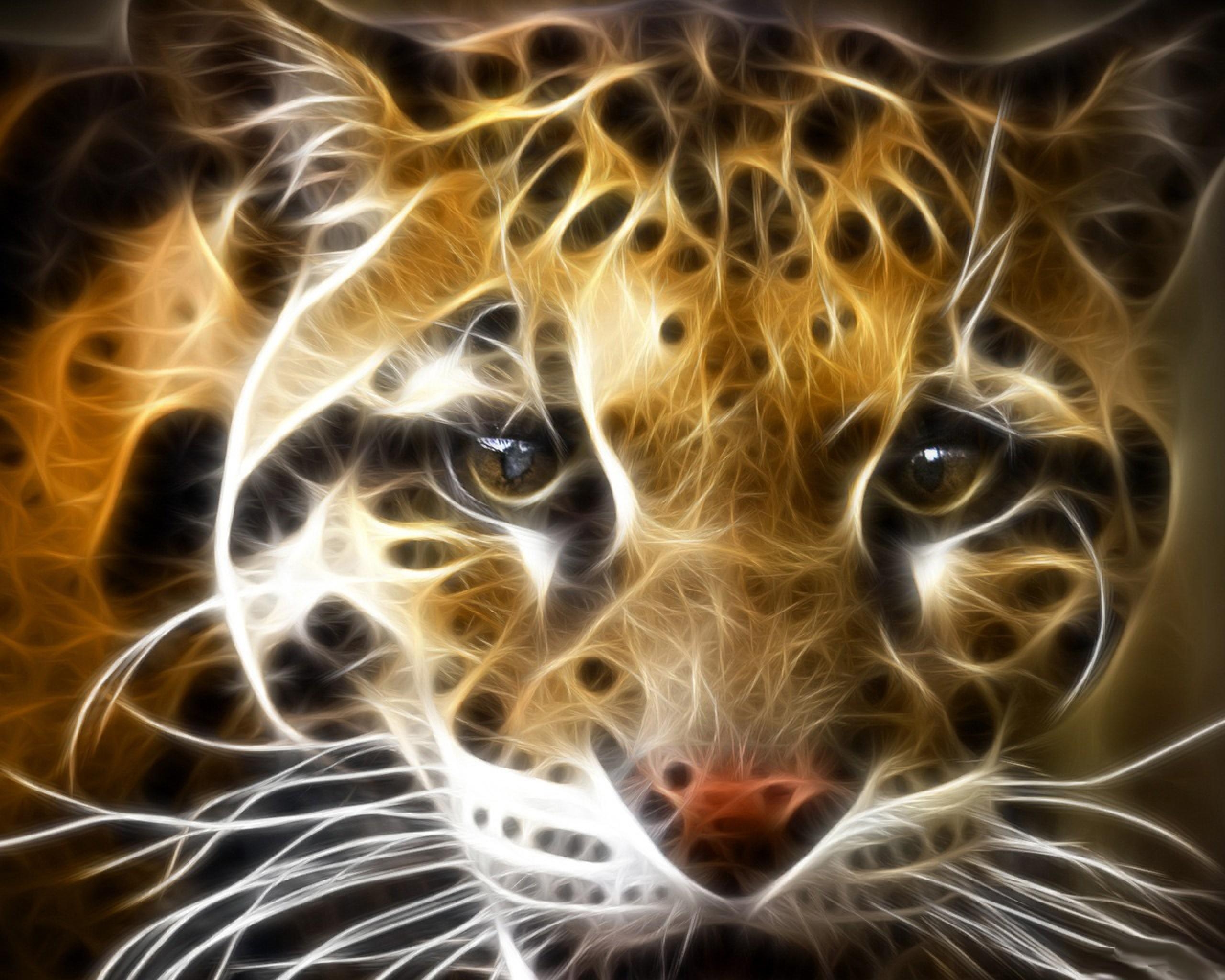 2560x2050 Wild Cat HD Desktop Wallpaper for Widescreen, High Definition, Desktop