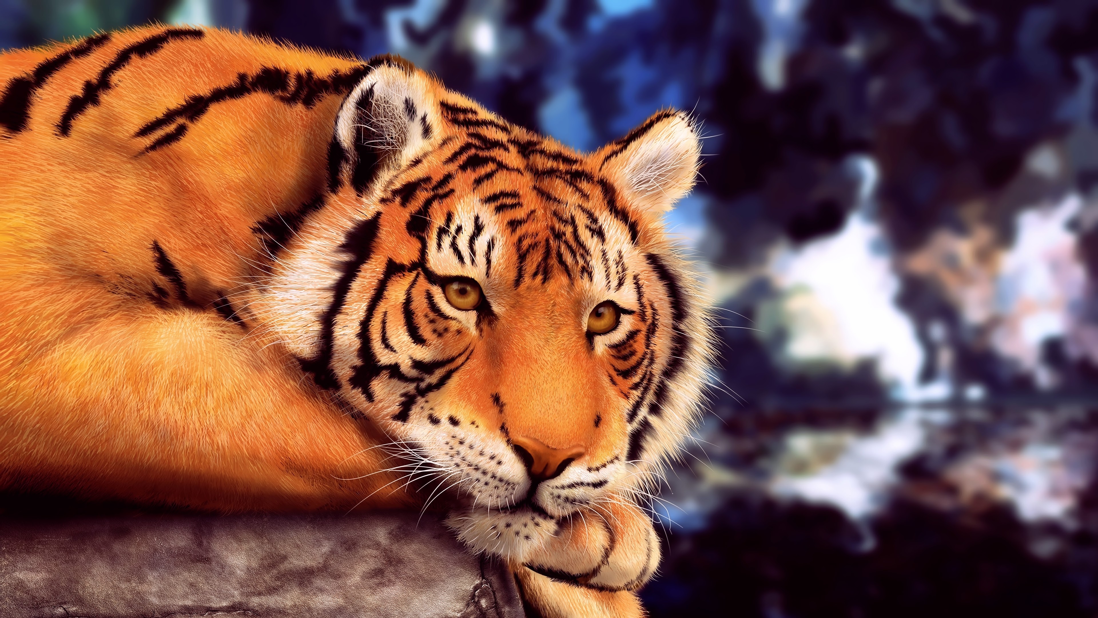 3840x2160 Tiger 8K Wallpaper, Desktop