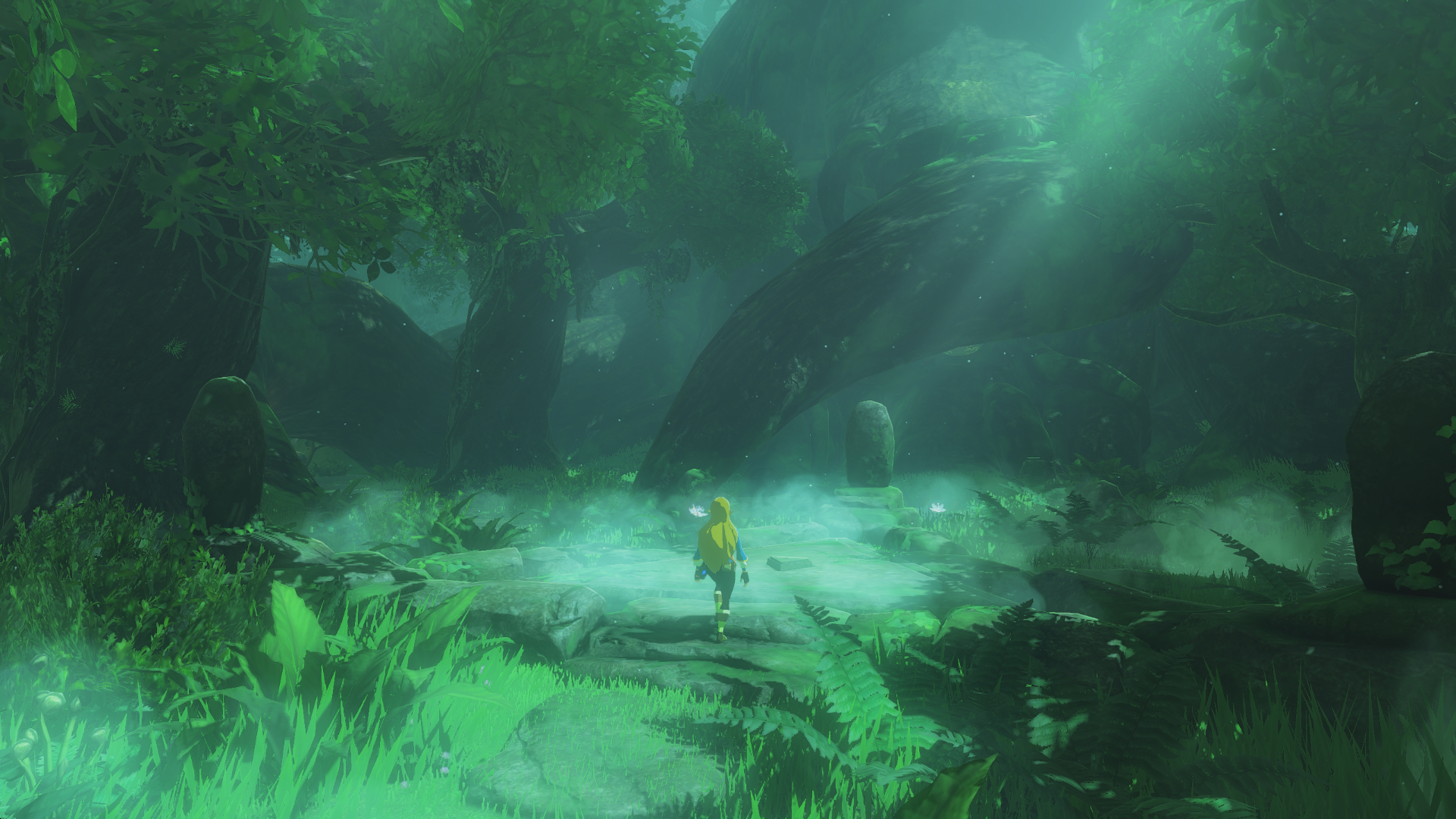 1920x1080 Zelda In Korok Forest Wallpaper 1080p, R Breath_of_the_Wild, Desktop