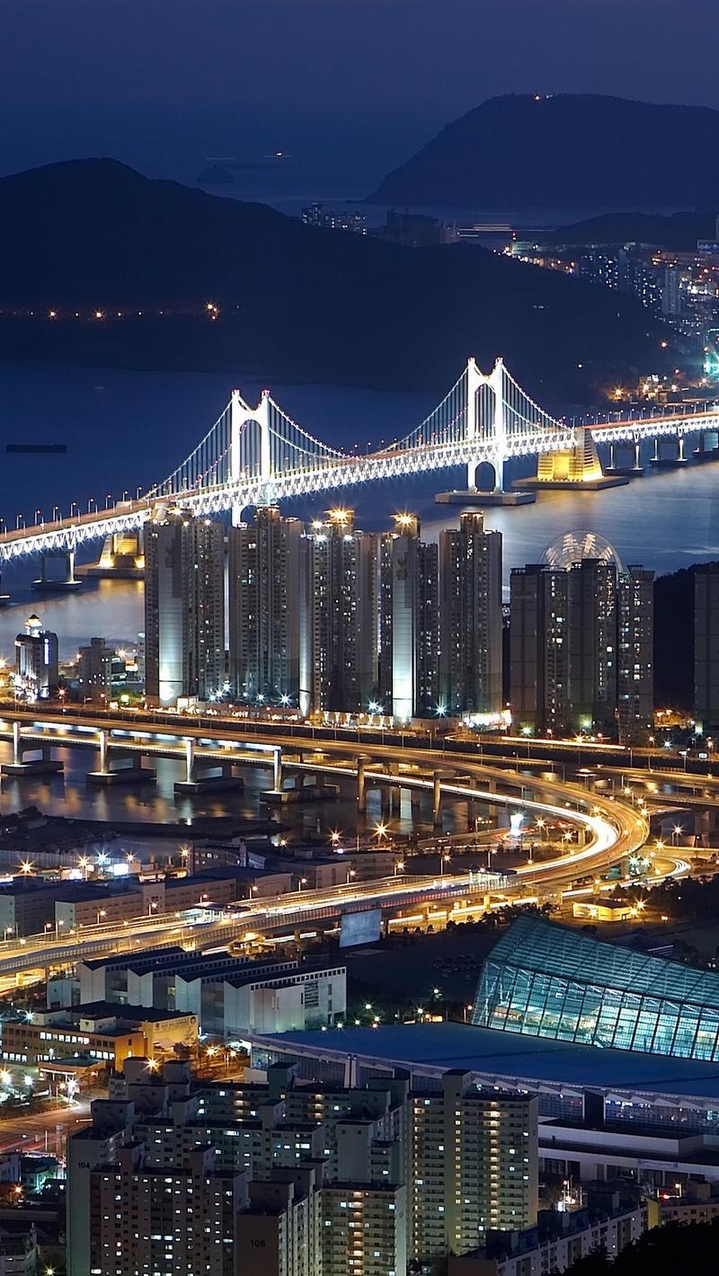 800x1420 Download wallpaper  south korea, busan, top view, night, Phone