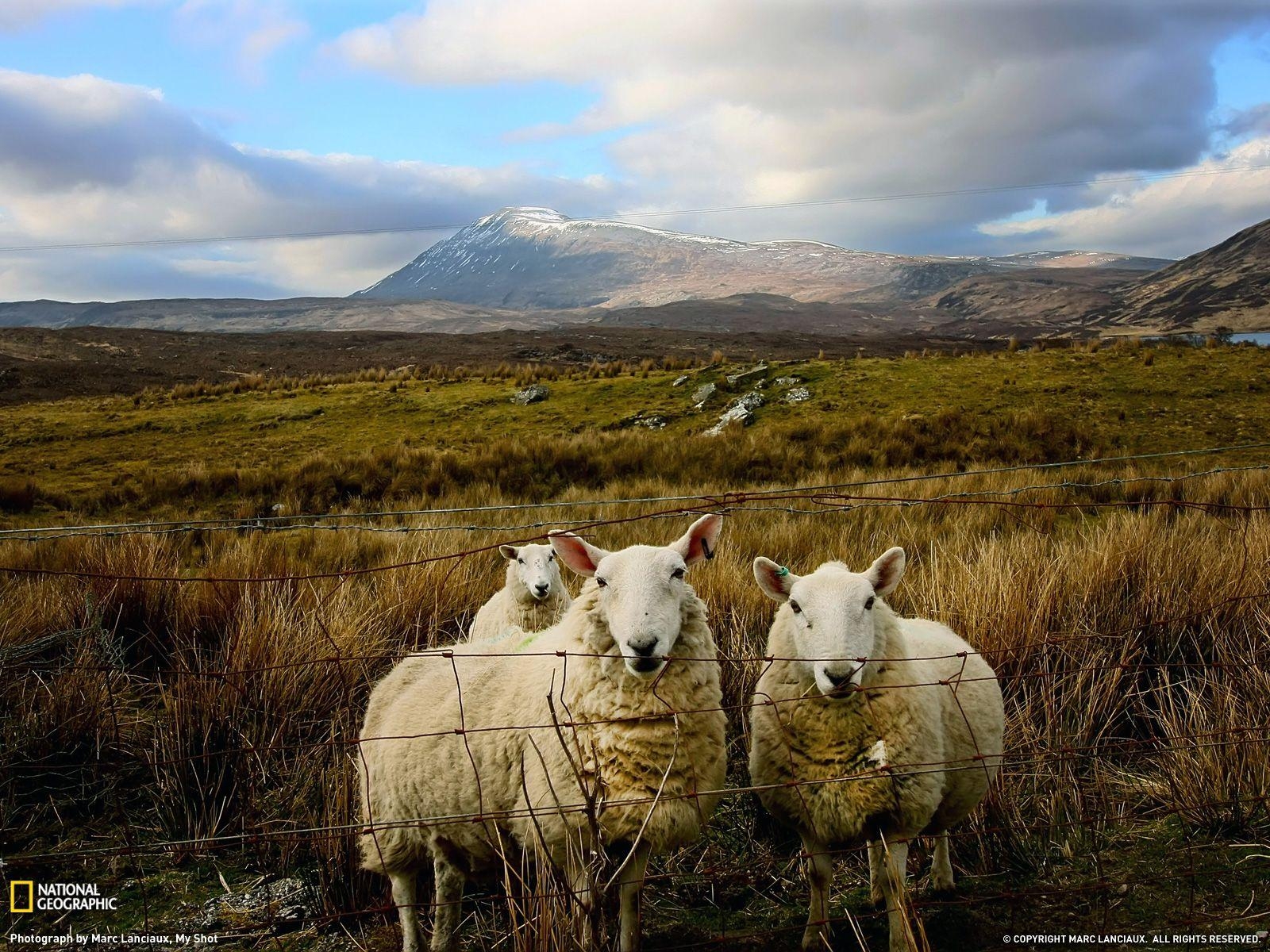 1600x1200 Free Scottish Wallpaper. Scotland Wallpaper National Geographic, Desktop