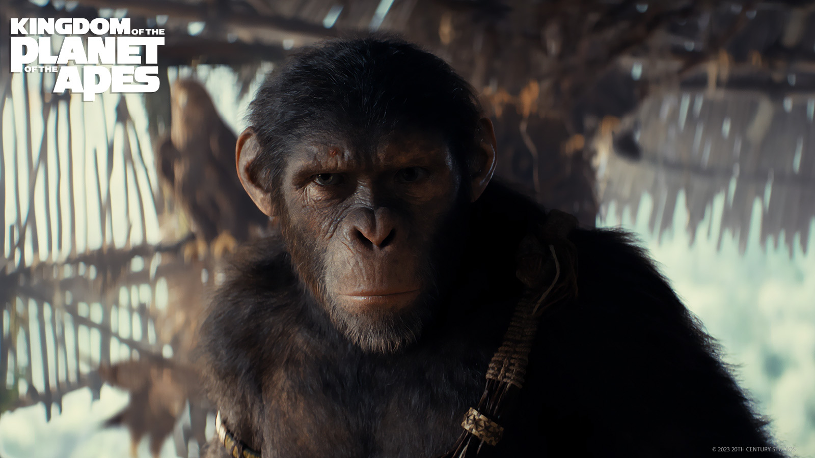 1600x900 Kingdom of the Planet of the Apes, Desktop