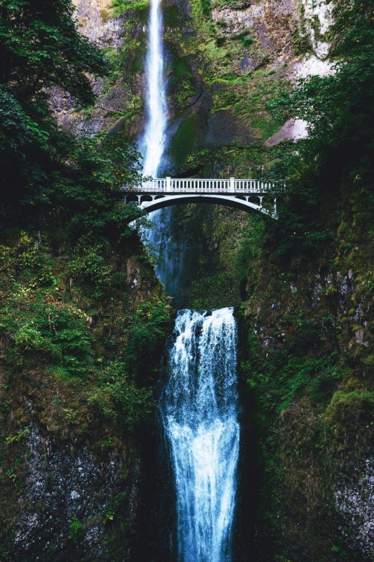 750x1130 nature, Water, Bridge, Trees, Waterfall HD Wallpaper / Desktop and Mobile Image & Photo, Phone