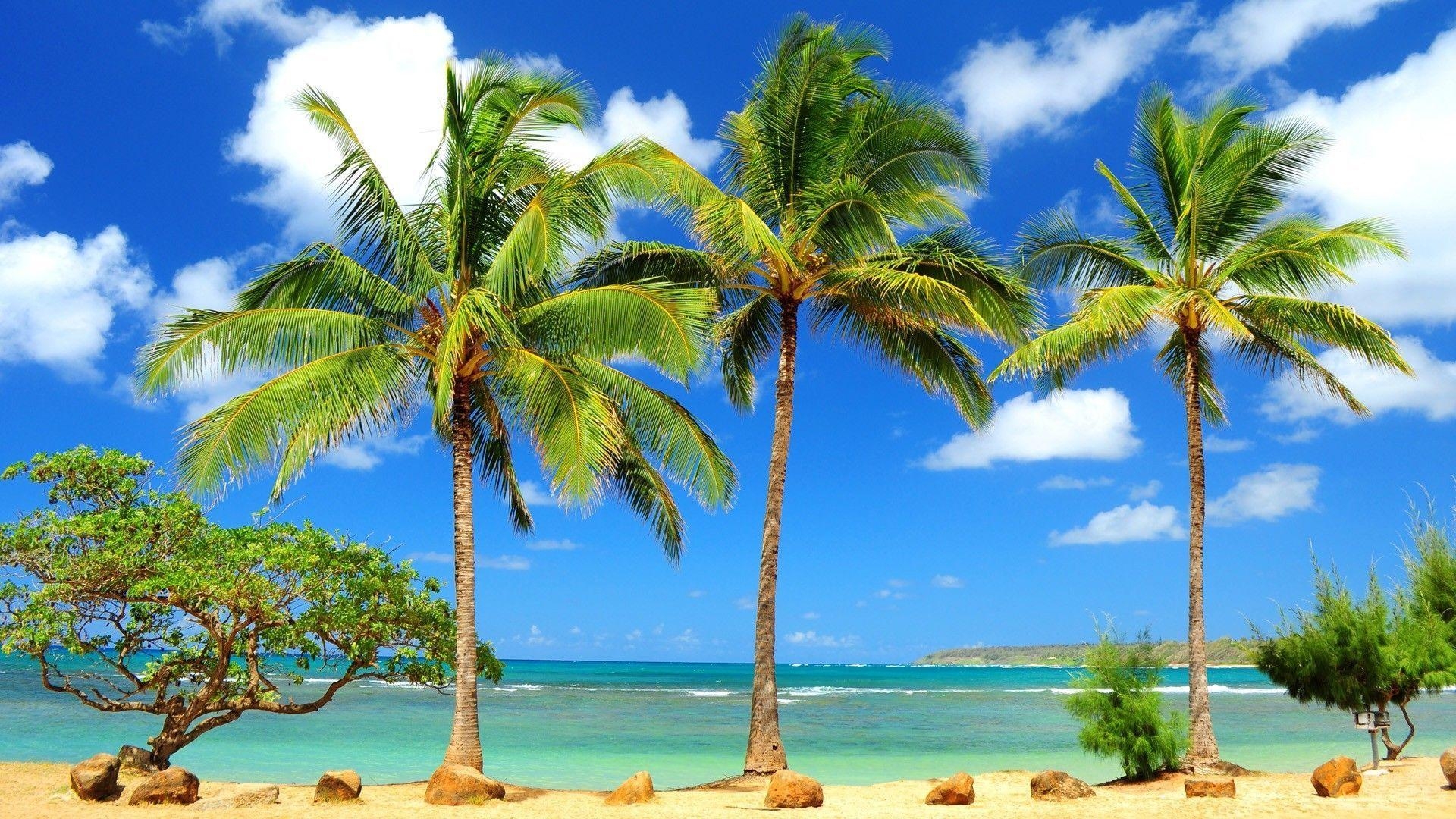 1920x1080 Tropical Beach Desktop Wallpaper, Desktop