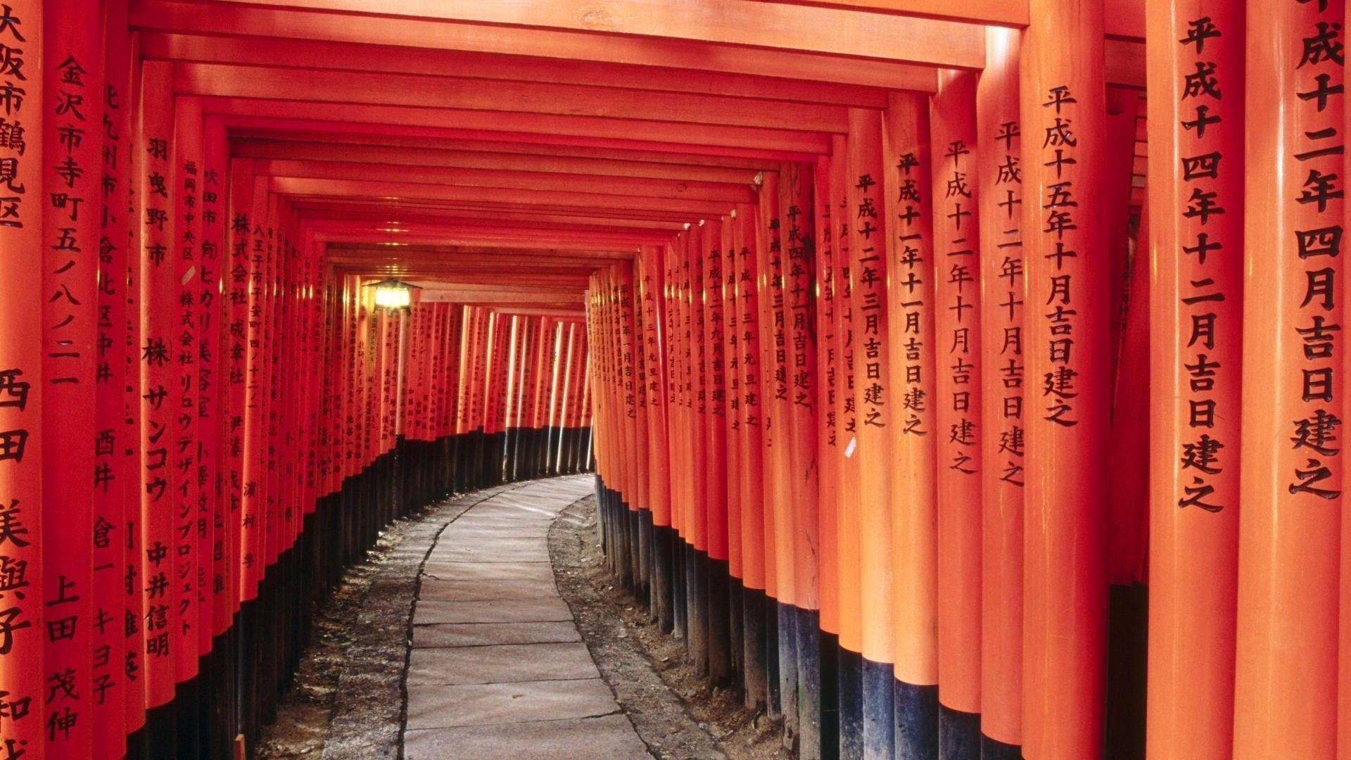 1920x1080 japanese shrine gate forest, Desktop