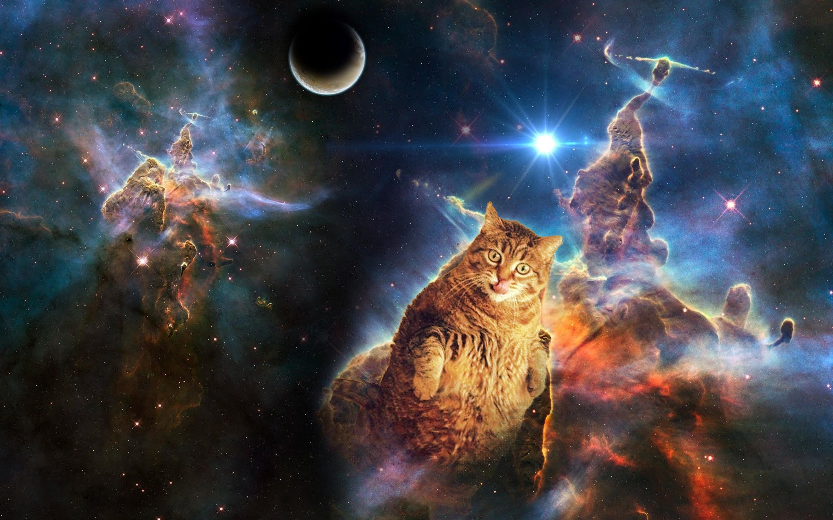 2880x1800 Space cat wallpaper dump, Desktop