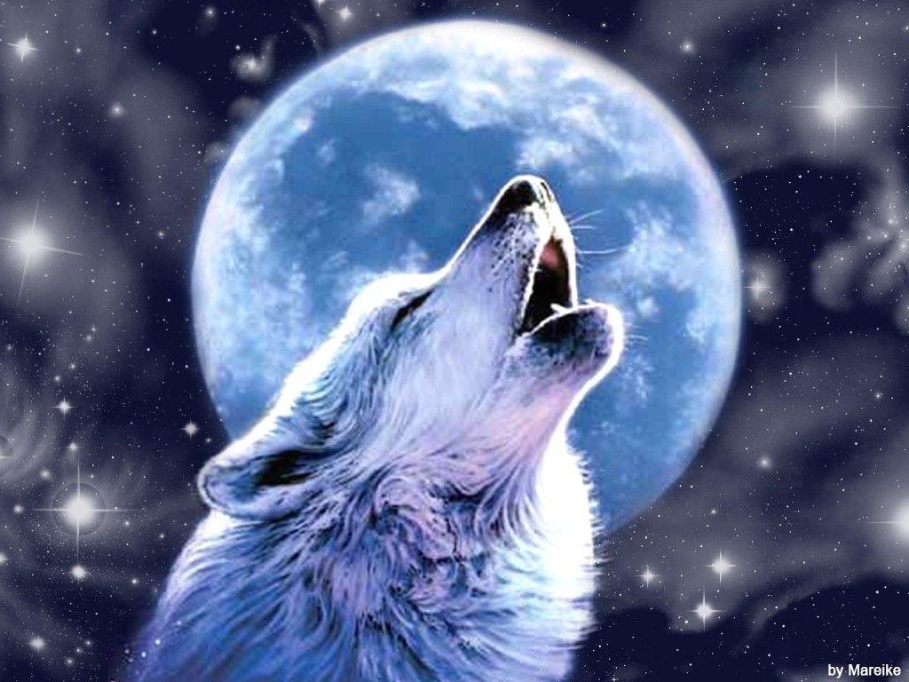 1030x770 Wolves Howling Wallpaper, wallpaper, Wolves Howling Wallpaper HD, Desktop