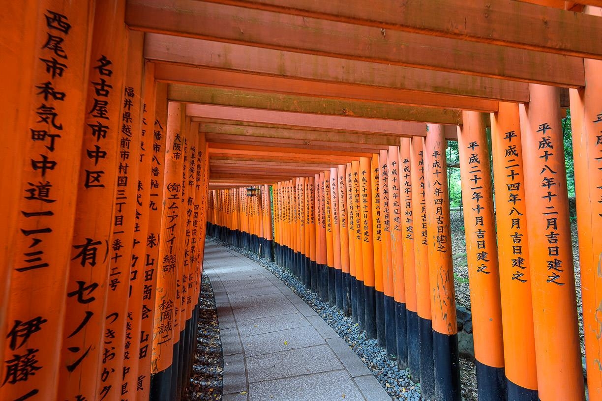 1230x820 Fushimi Inari Shrine Photo Spots, Desktop