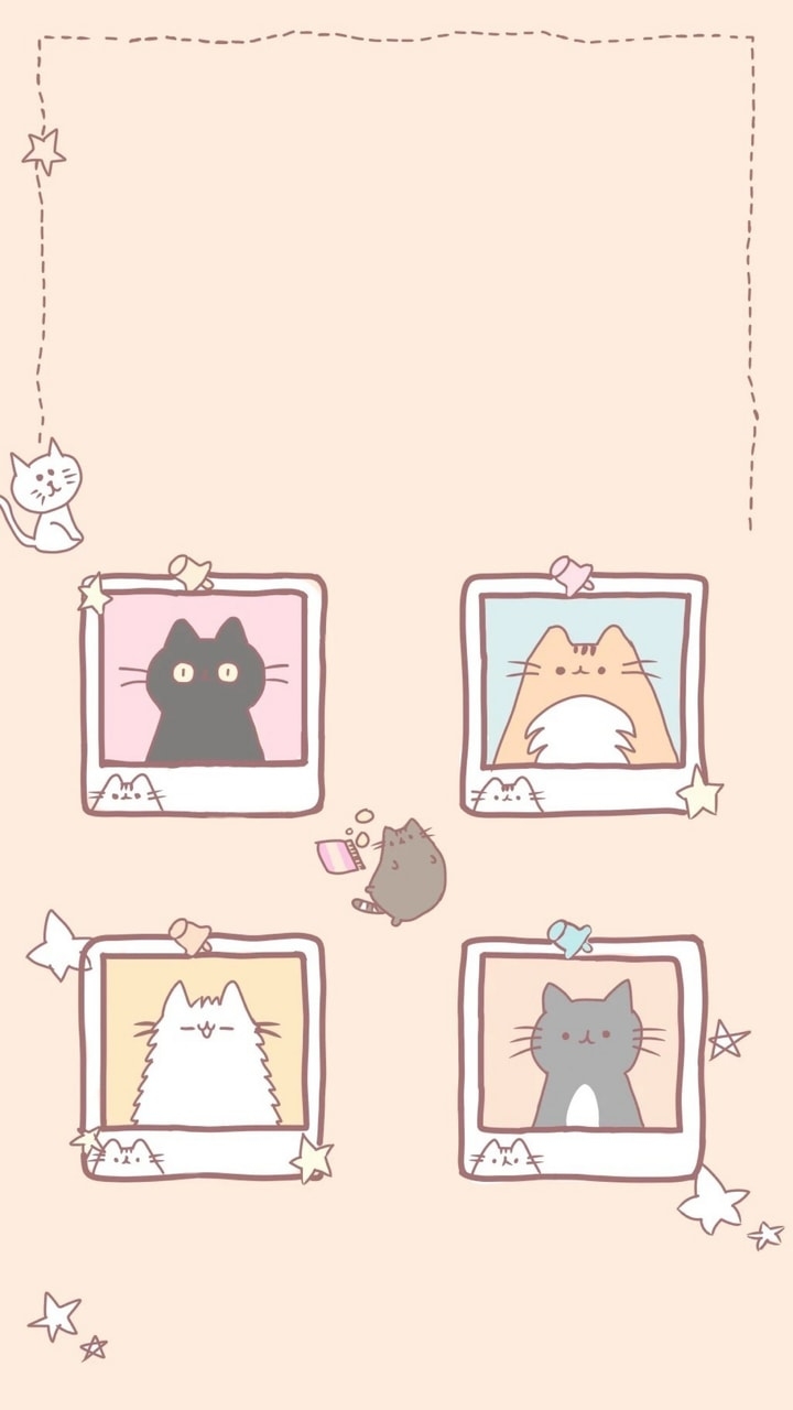 720x1280 Kawaii Cats discovered by ₊˚✧, Phone