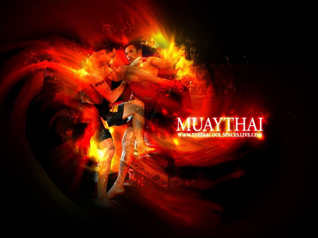 1030x770 Muay thai mobile wallpaper de river HD wallpaper picture, Desktop
