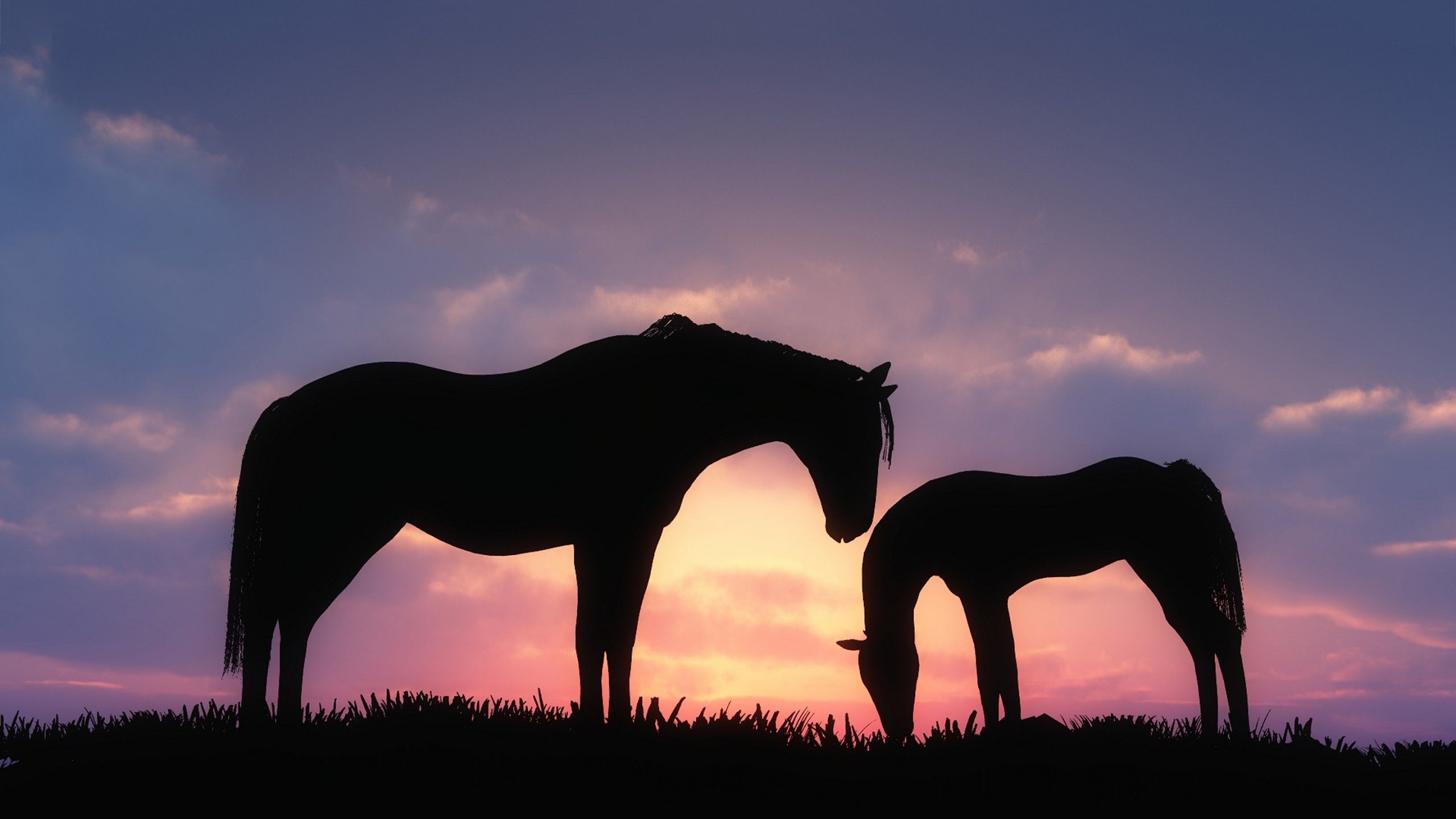 2560x1440 Cute Horse Wallpaper Free Cute Horse Background, Desktop