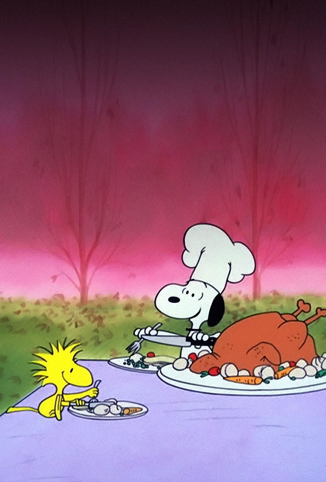 1040x1540 Snoopy and Woodstock Thanksgiving wallpaper, Phone