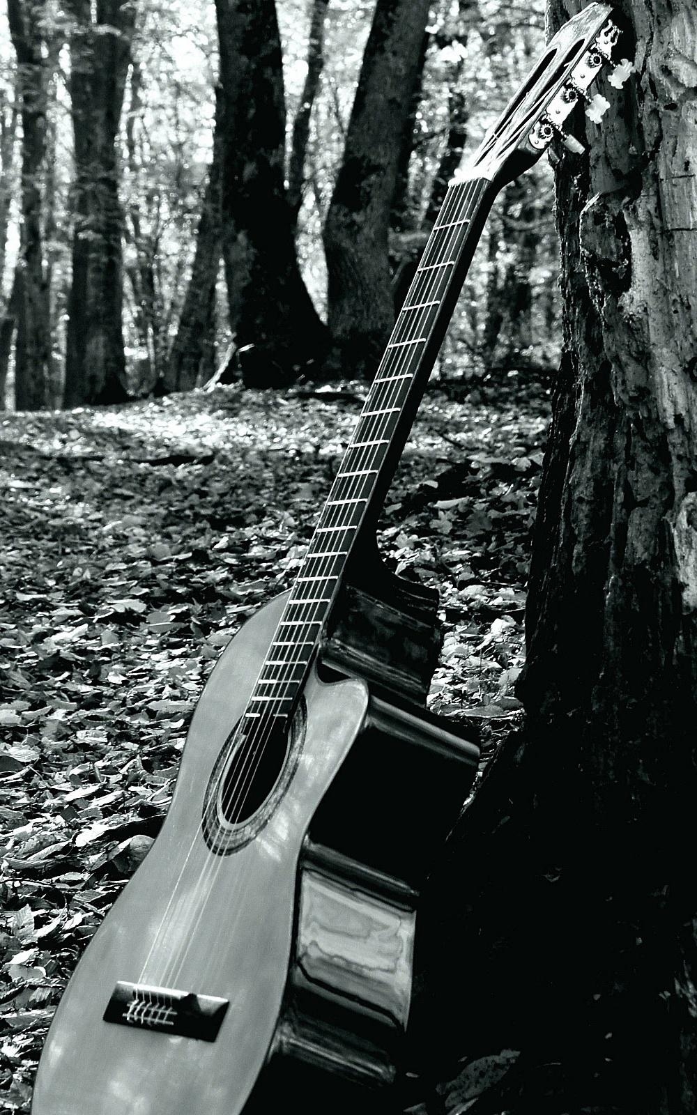 1000x1600 Forrest Guitar Mobile Wallpaper, Phone