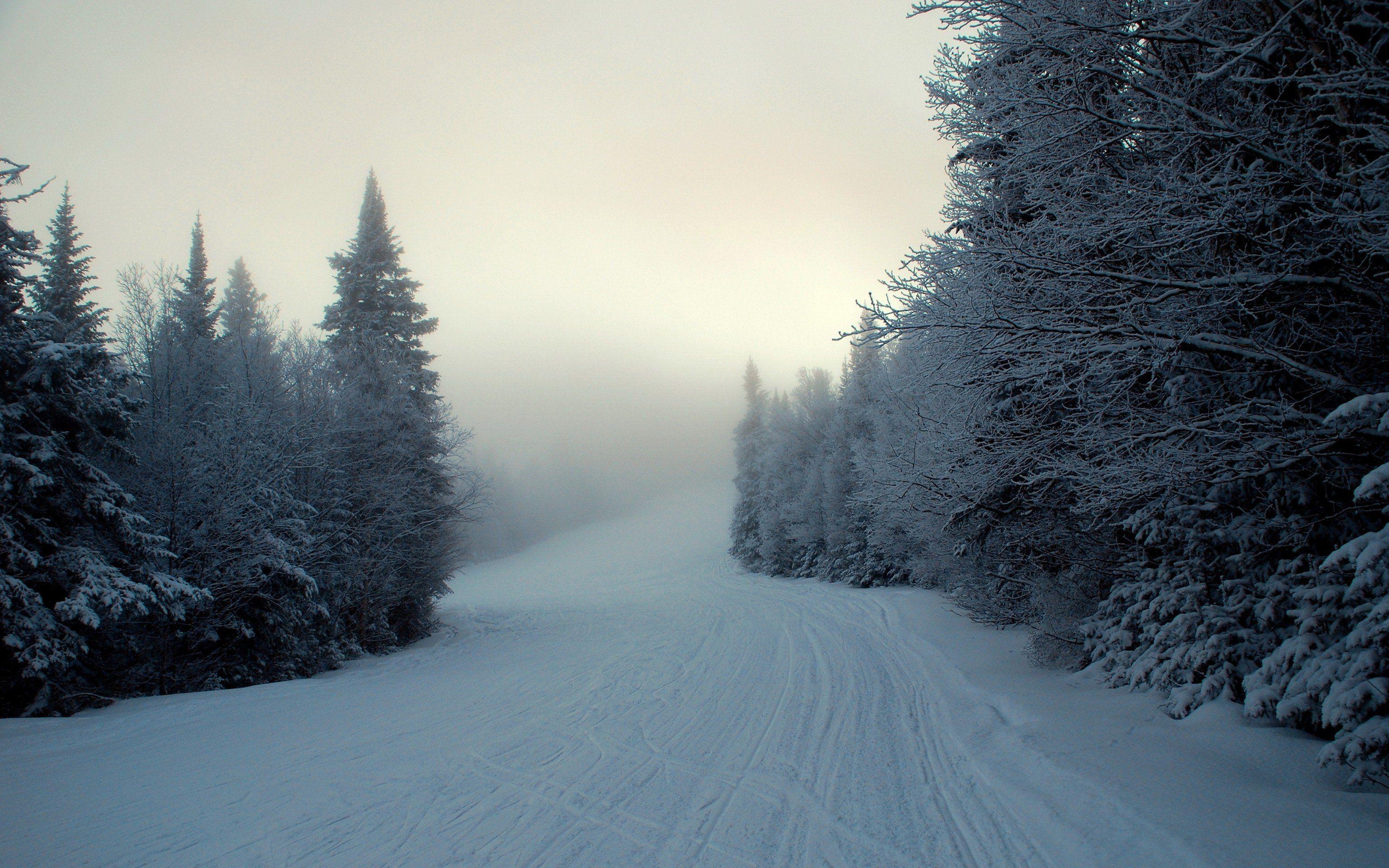 3080x1920 Winter Woods Wallpaper, Desktop