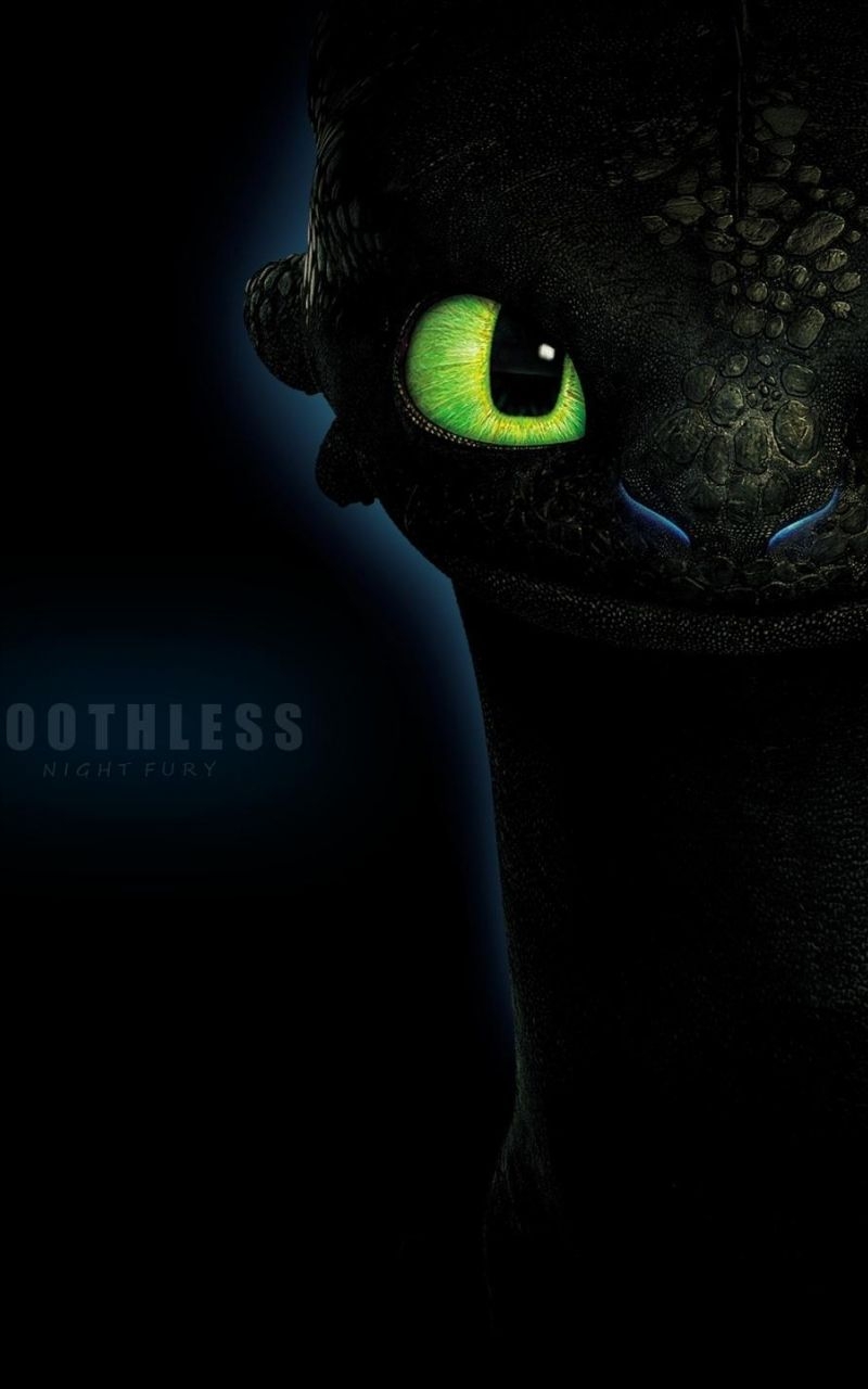 800x1280 Free download Toothless Dragon Wallpaper HD Image amp Picture, Phone