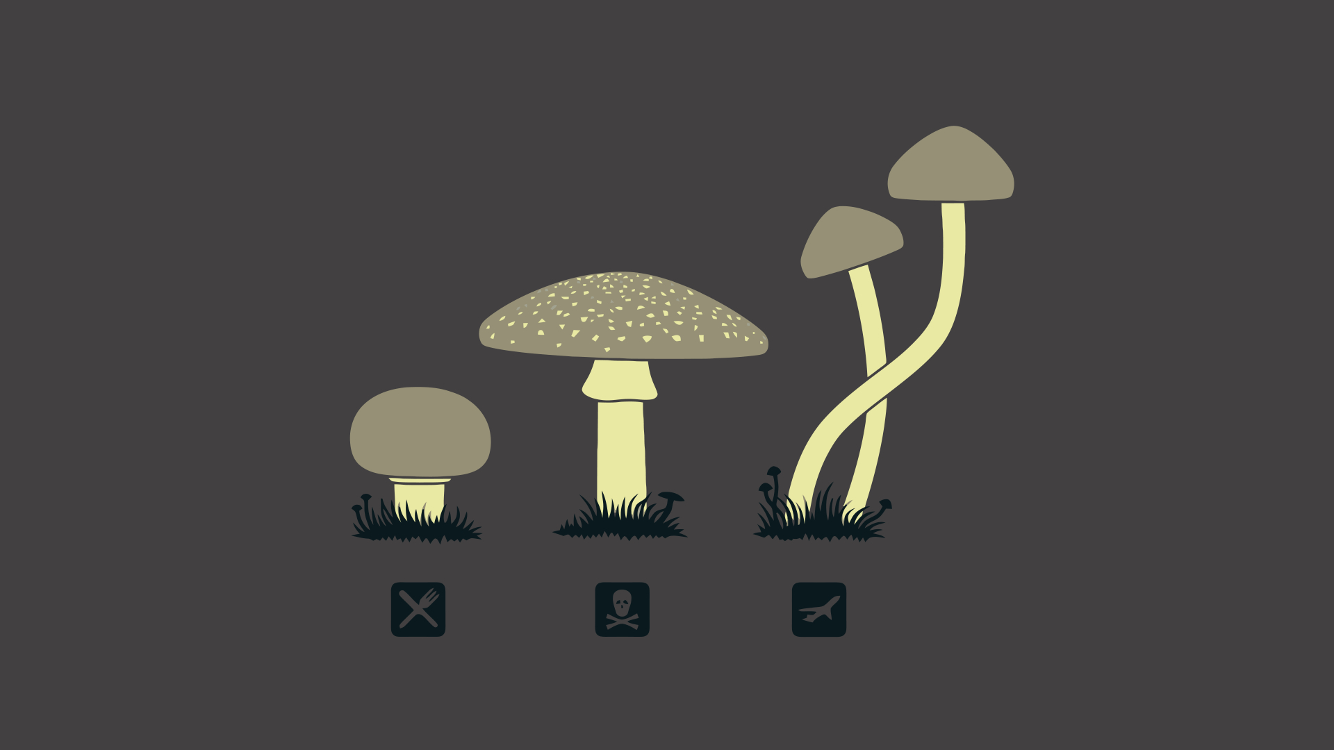 1920x1080 Mushrooms, Desktop