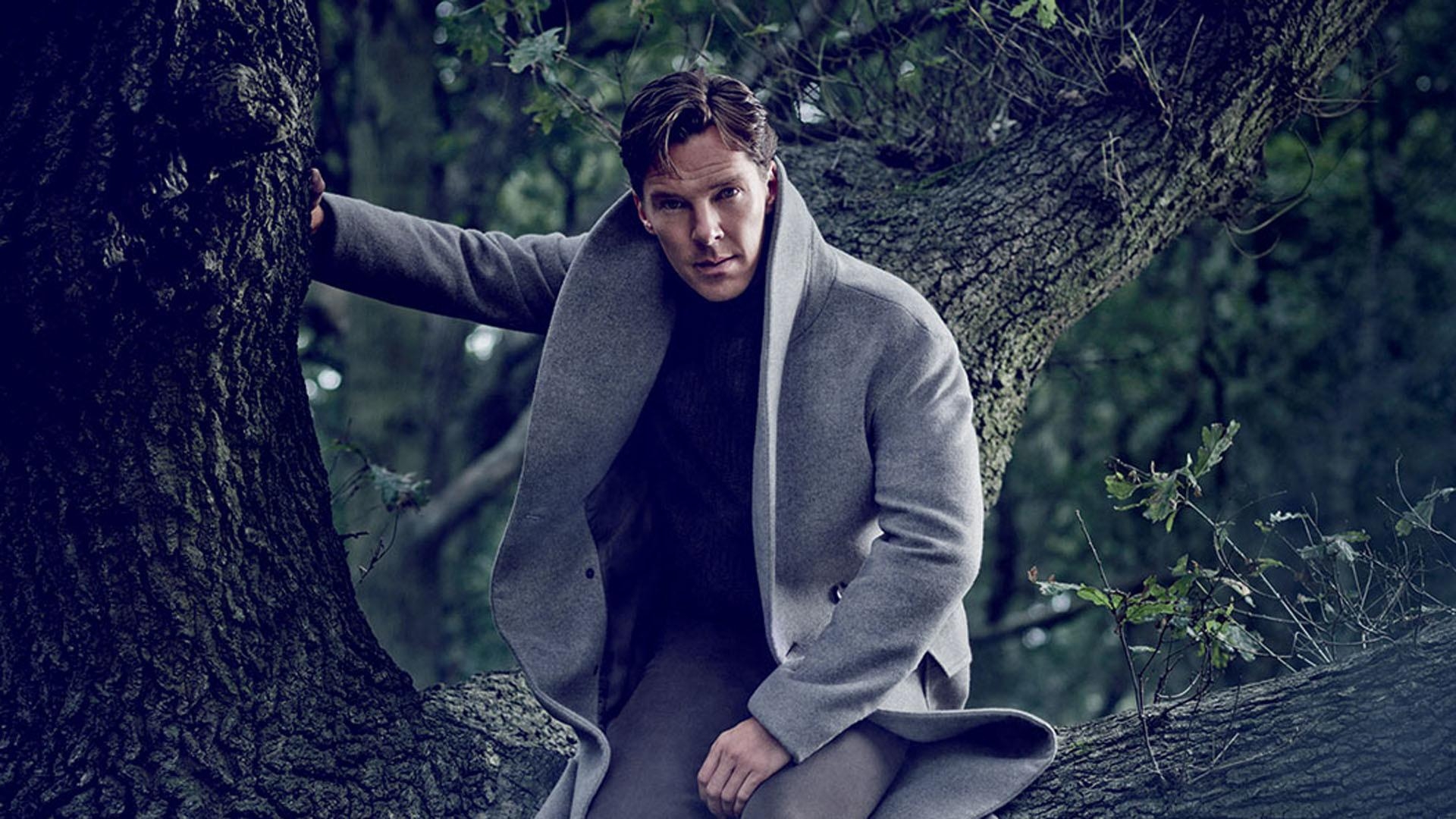 1920x1080 Benedict Cumberbatch Wallpaper, Desktop