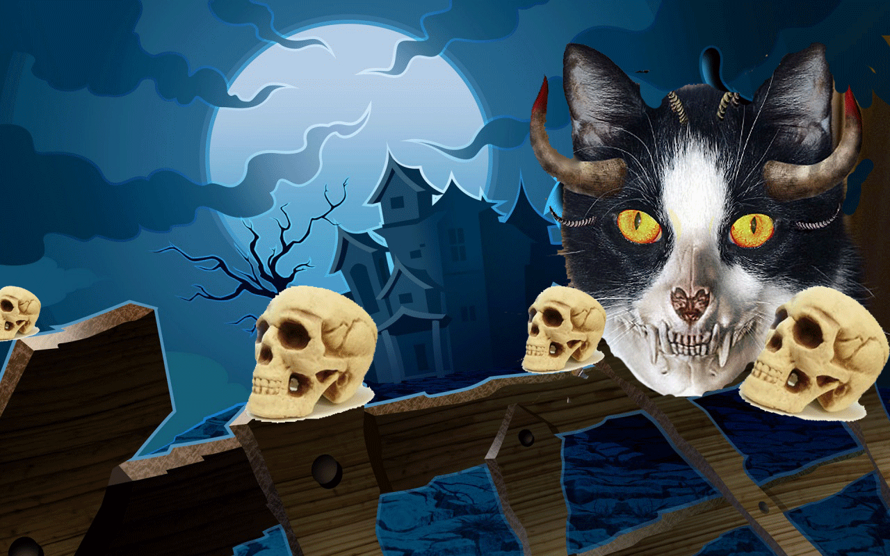 1280x800 Halloween Free Wallpaper: Cat Halloween Wallpaper, Halloween Black, Desktop