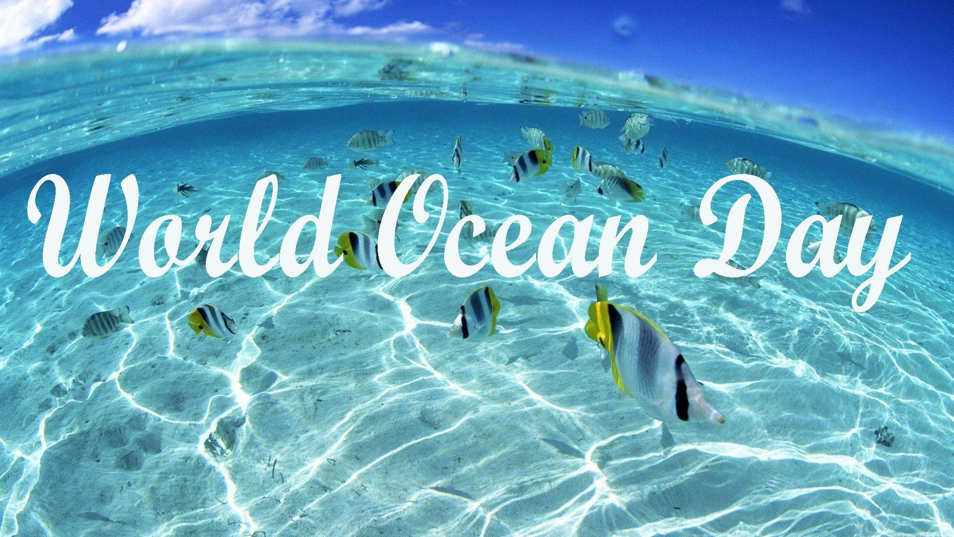 1920x1080 World Ocean Day Under Ocean Fish HD Wallpaper, Desktop