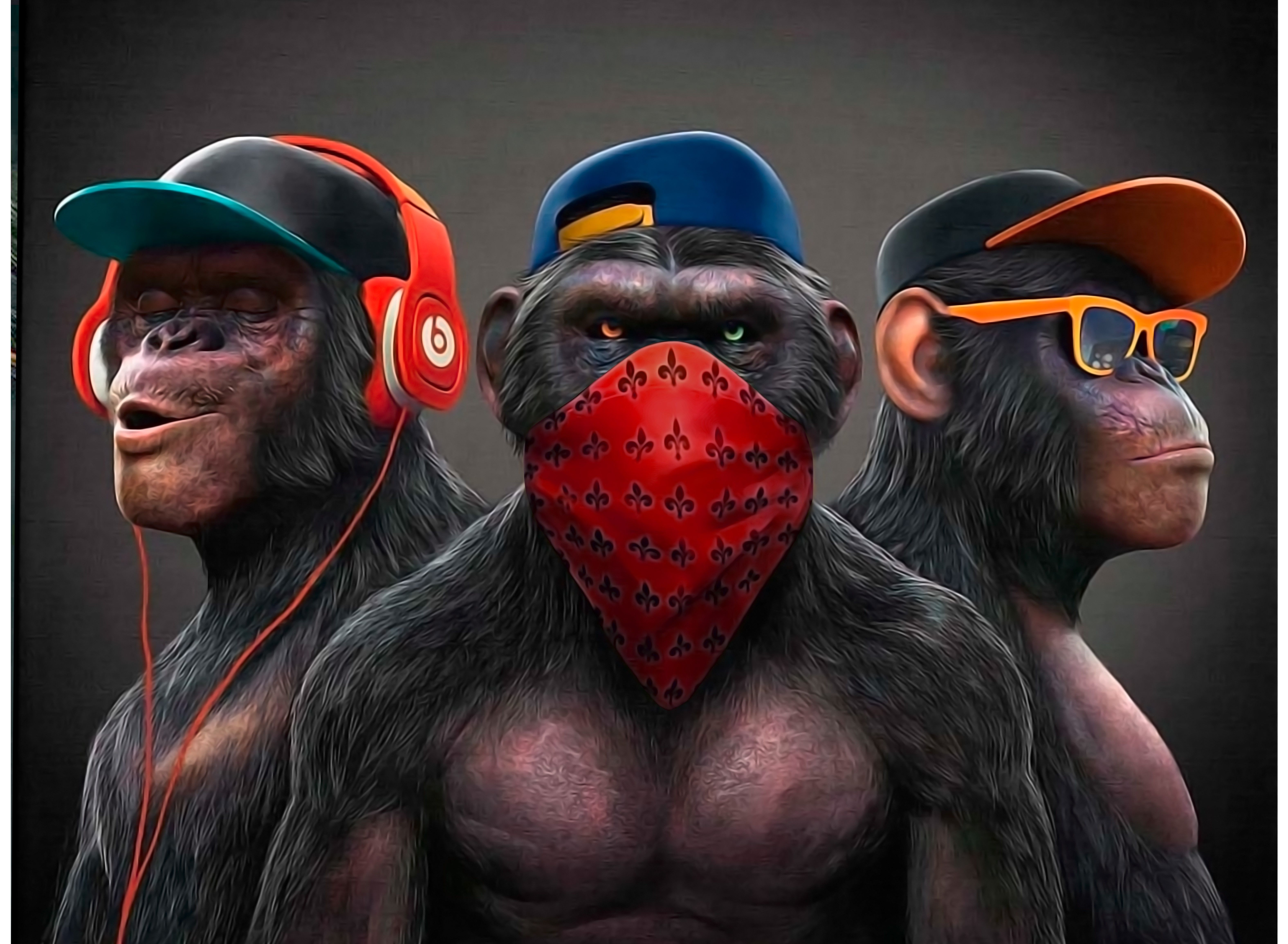 6300x4620 Gang Monkey's. Monkey art, Rasta art, Monkey wallpaper, Desktop