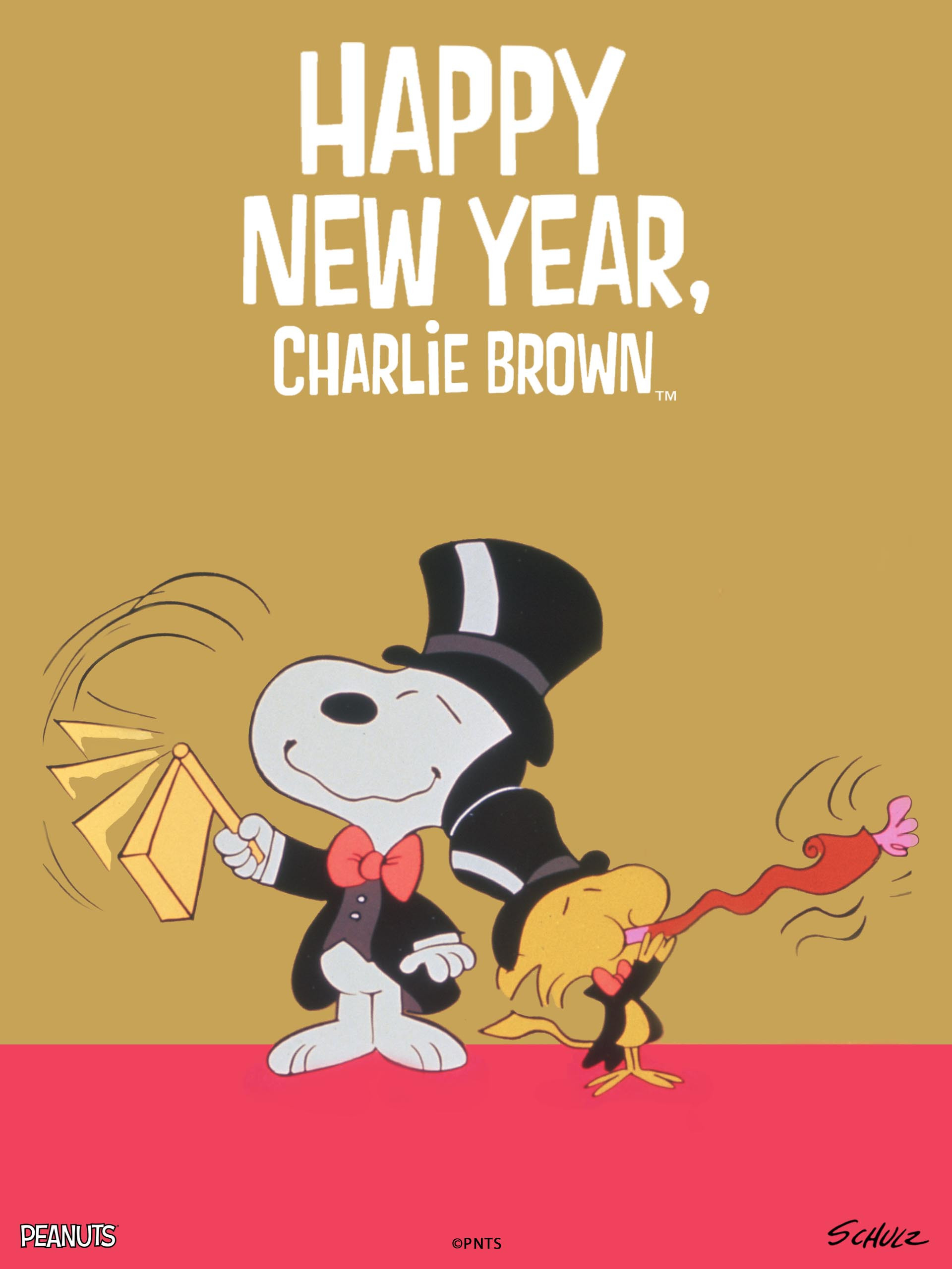 1920x2560 Watch Happy New Year, Charlie Brown!, Phone