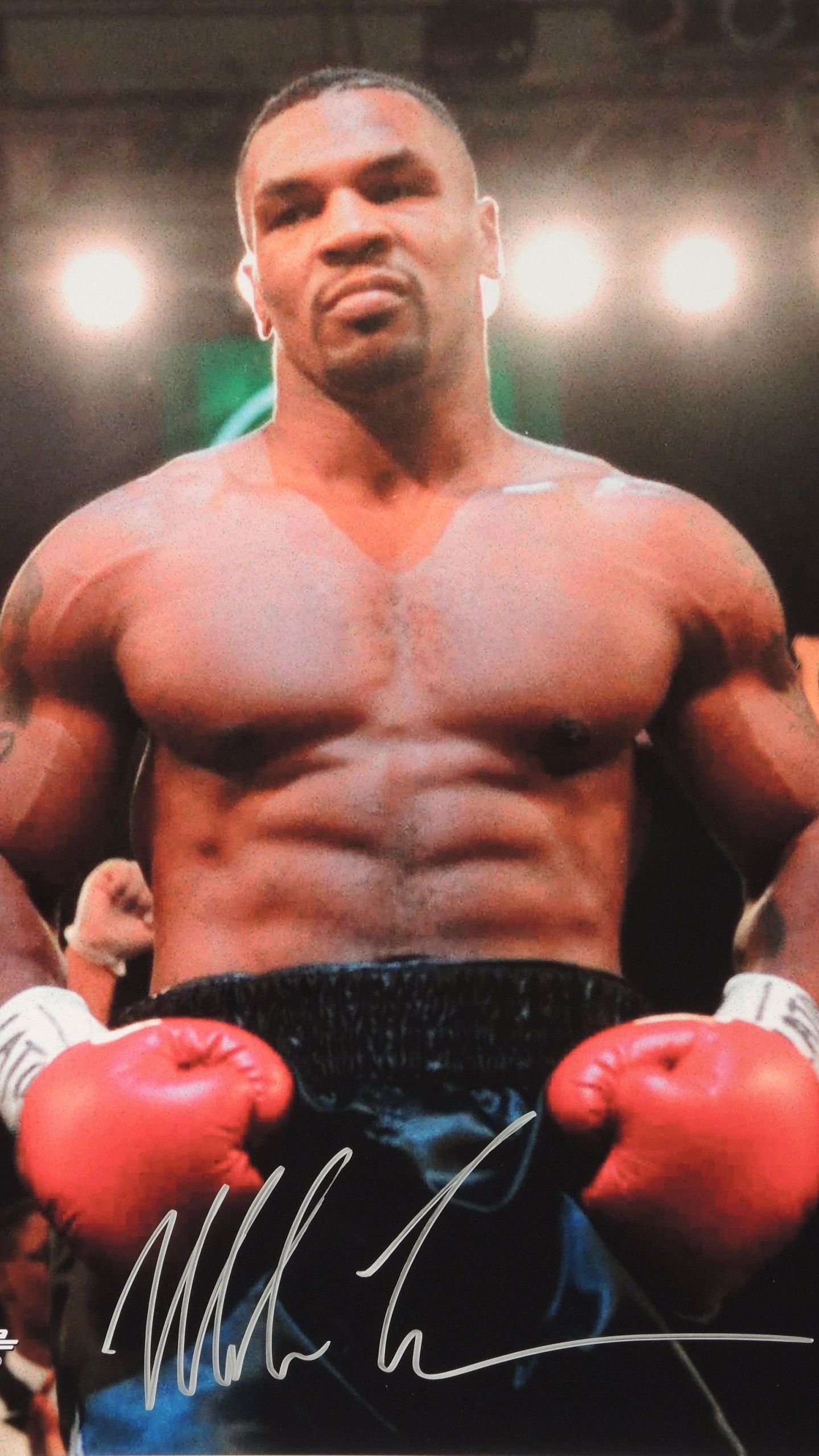 1440x2560 Mike tyson boxing Wallpaper Download, Phone