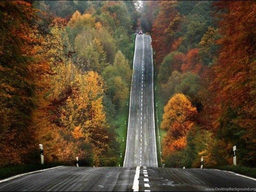 1030x770 Wallpaper Nature Rod Games Free Road Trip The  Desktop, Desktop