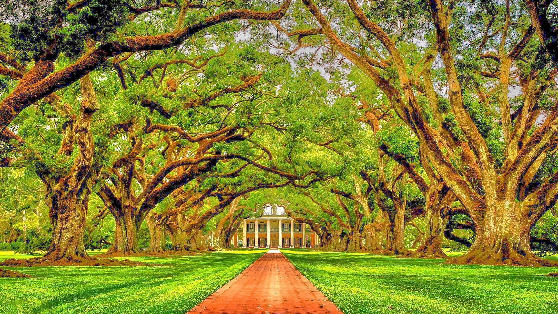 1920x1080 Oak Alley Plantation Louisiana HDR Wallpaper free desktop, Desktop