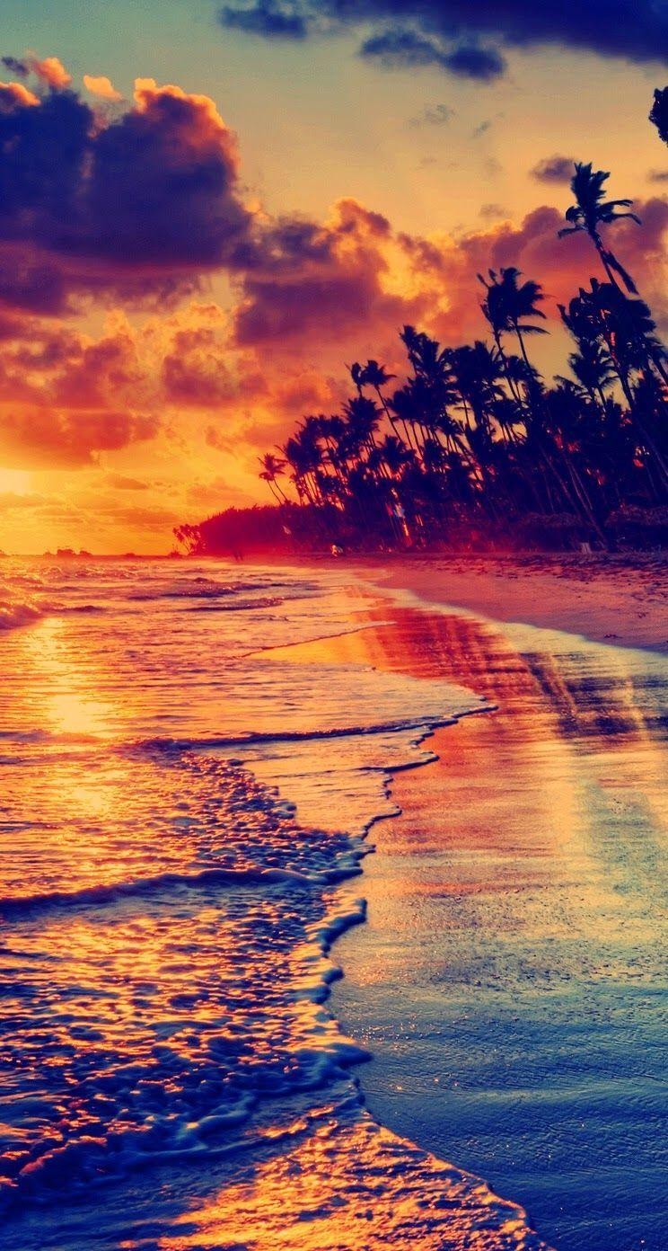 750x1400 Beach Phone Wallpaper Free Beach Phone Background, Phone