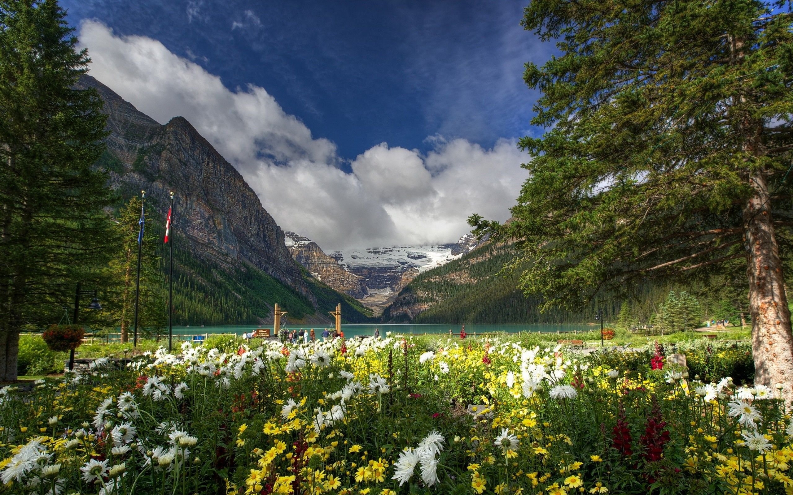 2560x1600 Lake louise banff national park wallpaper, Desktop