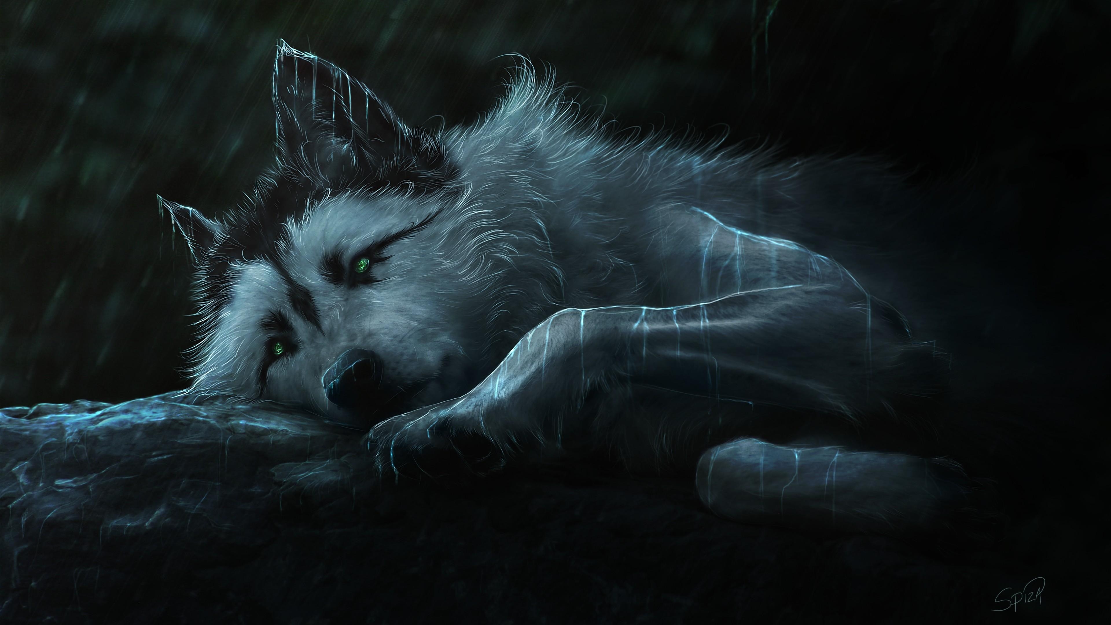 3840x2160 4K Wolf Wallpaper, Desktop