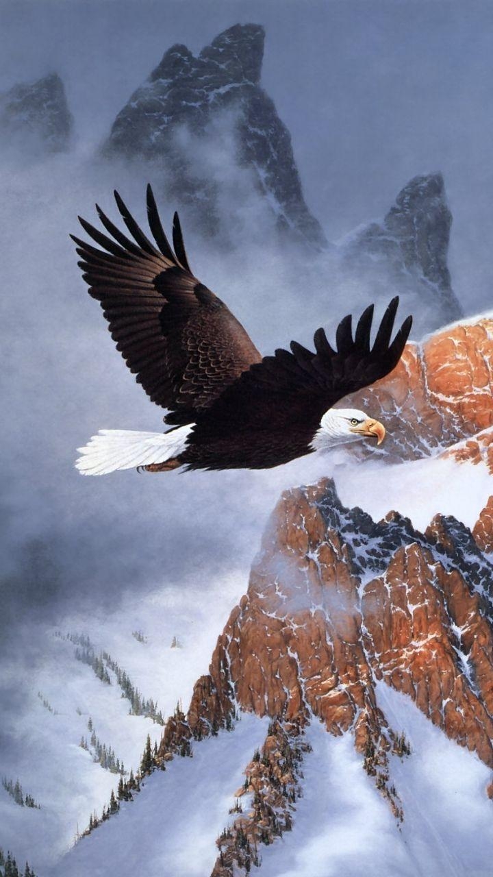 720x1280 Bald Eagle Wallpaper Animal Spot, Phone