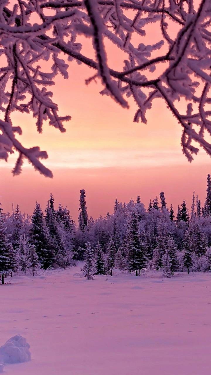 720x1280 Pink winter wallpaper, Phone