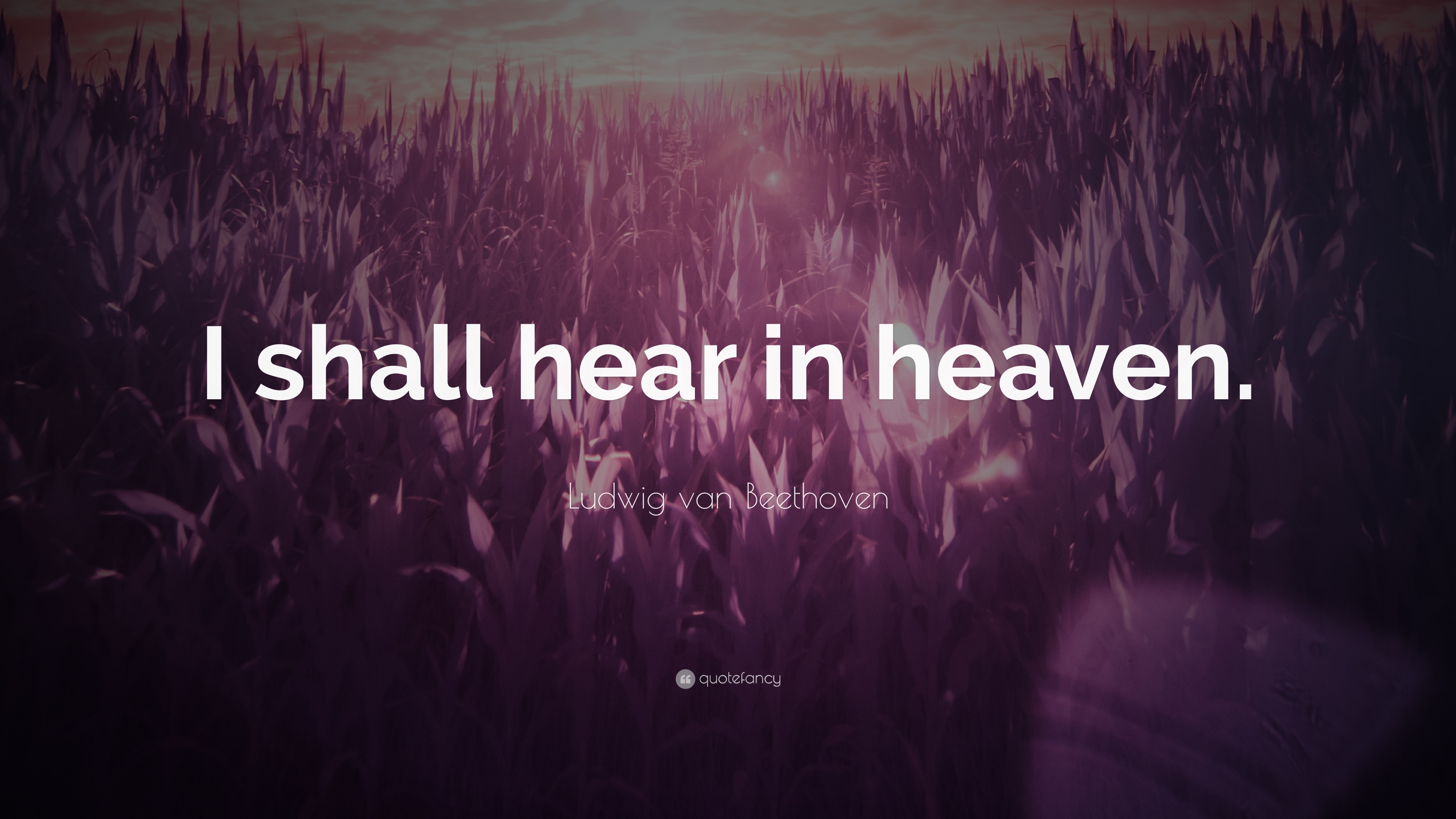 3840x2160 Ludwig van Beethoven Quote: “I shall hear in heaven.” 12 wallpaper, Desktop