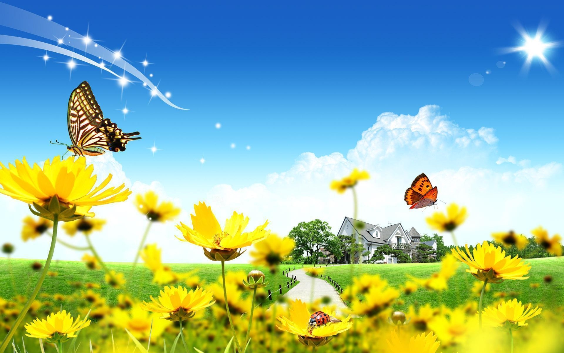 1920x1200 Summertime  Wallpaper  Wallpaper & Picture, Desktop