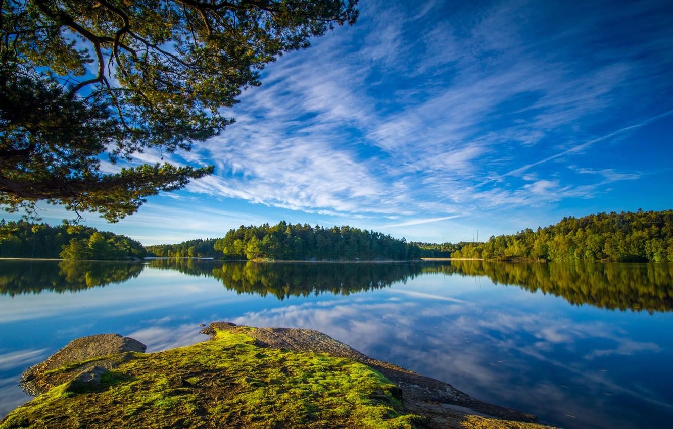 1340x850 Wallpaper the sky, branches, Sweden, forest, Sweden, lake, Desktop