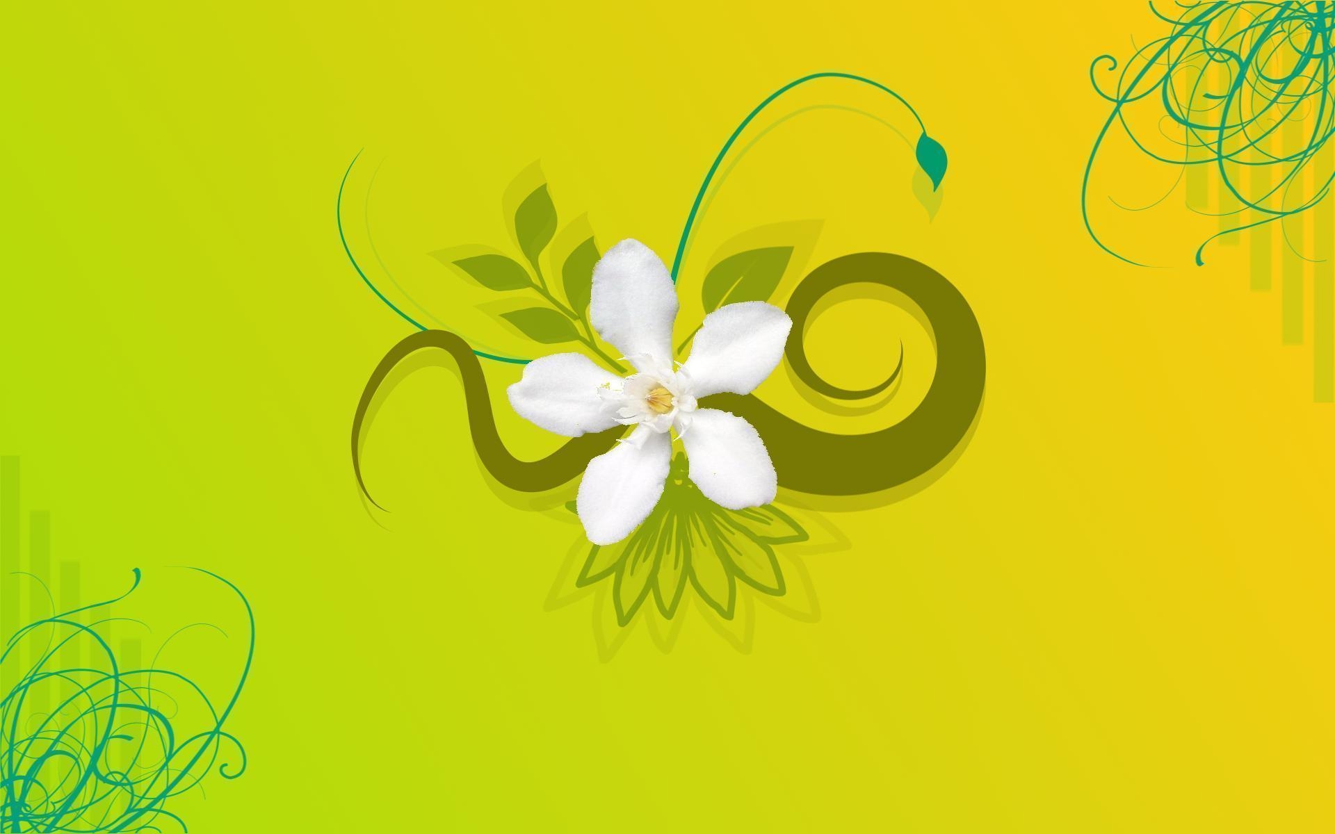 1920x1200 Floral Png Designs wallpaper, Desktop