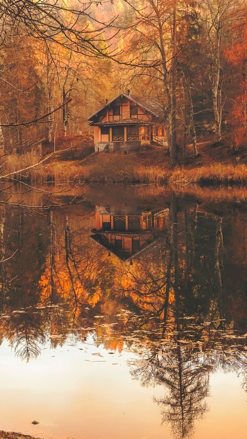 800x1430 Cottagecore iPhone Wallpaper (Free to download), Phone
