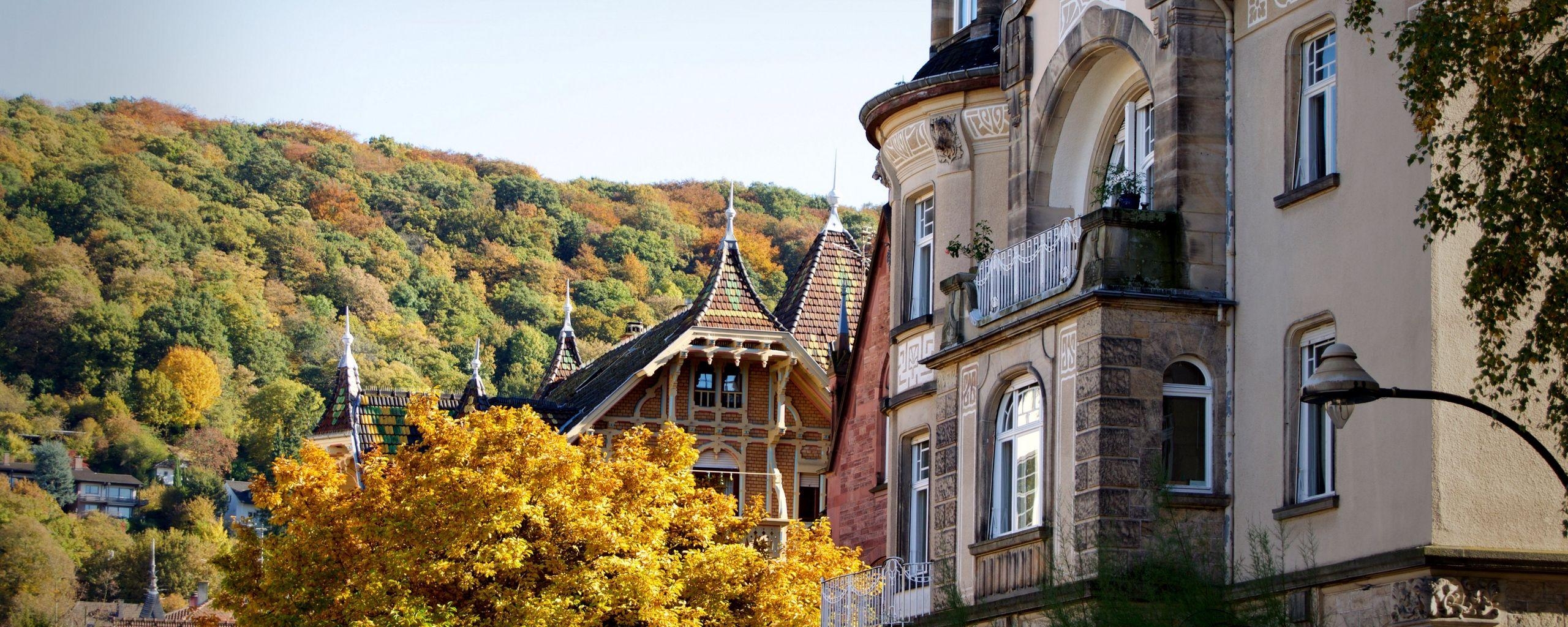 2560x1030 Download wallpaper  heidelberg, germany, building, Dual Screen